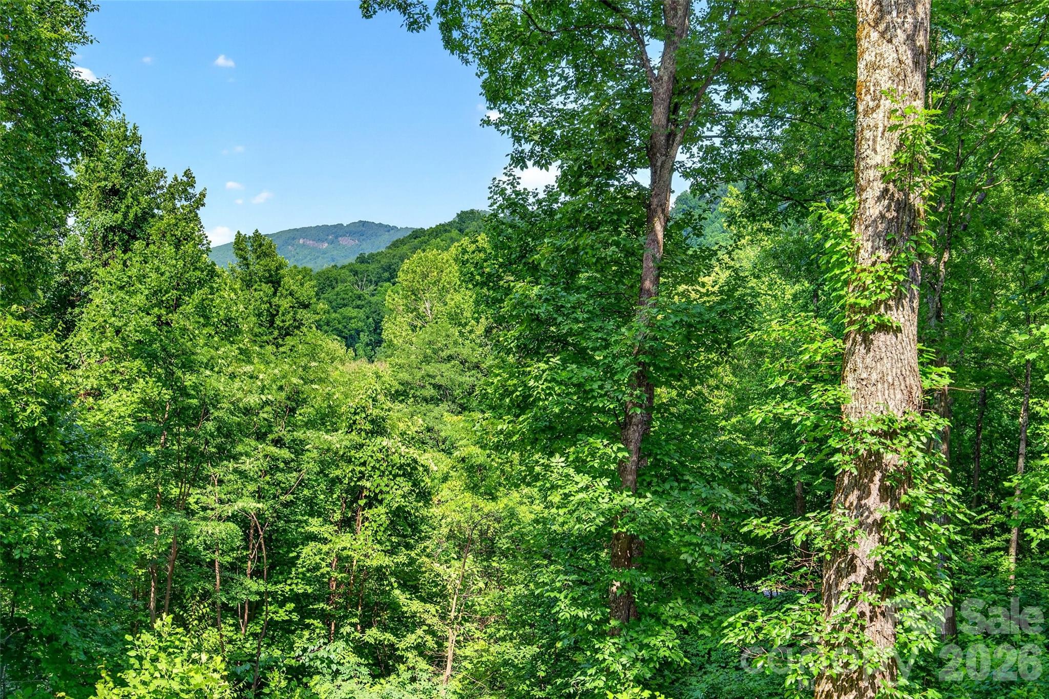771 Sally Gap Road Property Photo 47