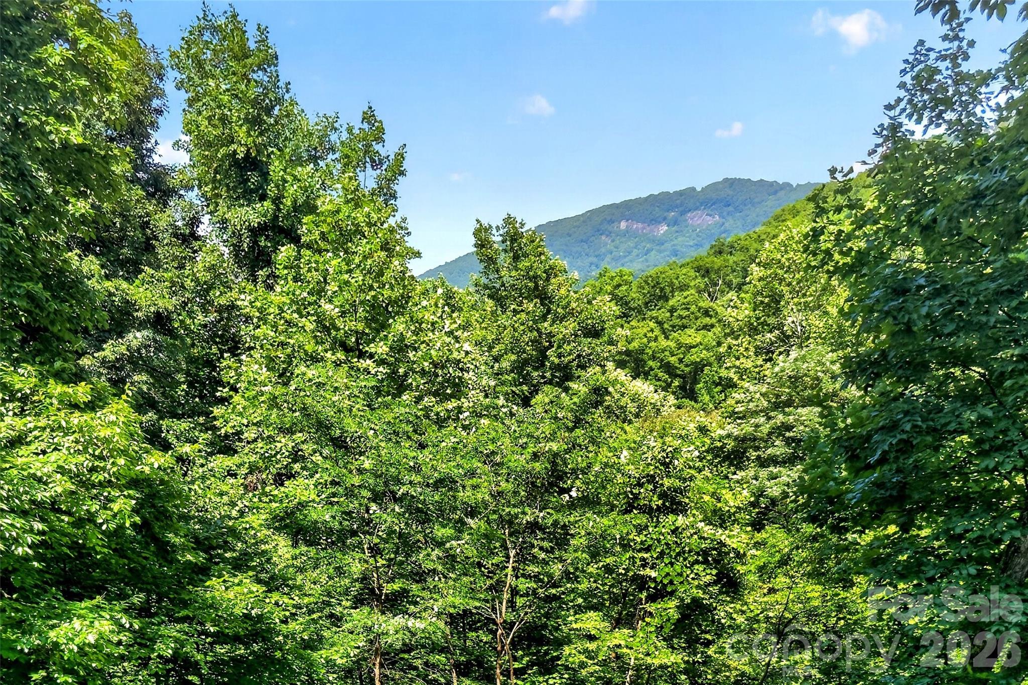 771 Sally Gap Road Property Photo 48