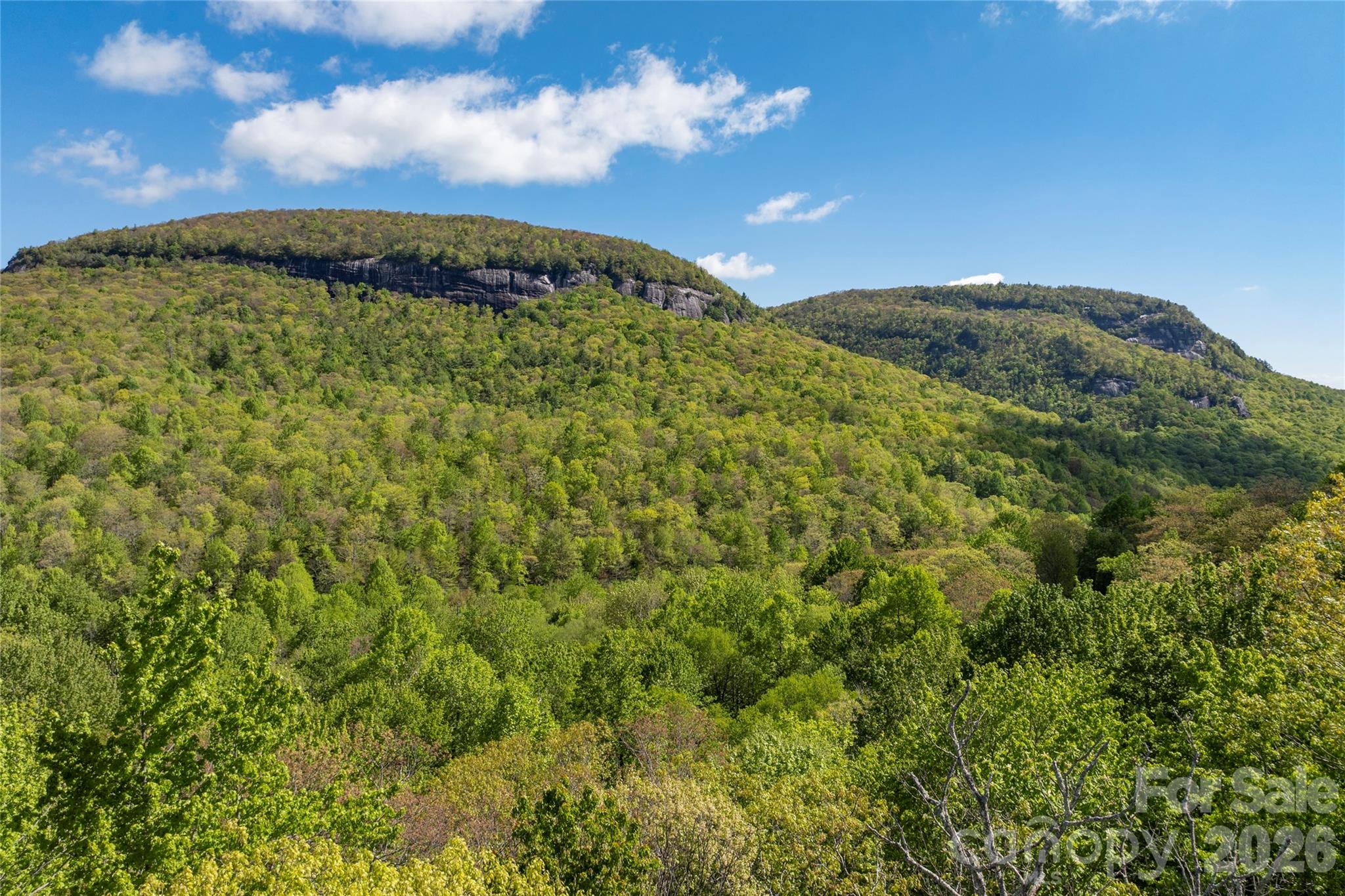 Tbd Long Ridge Road Property Photo 1