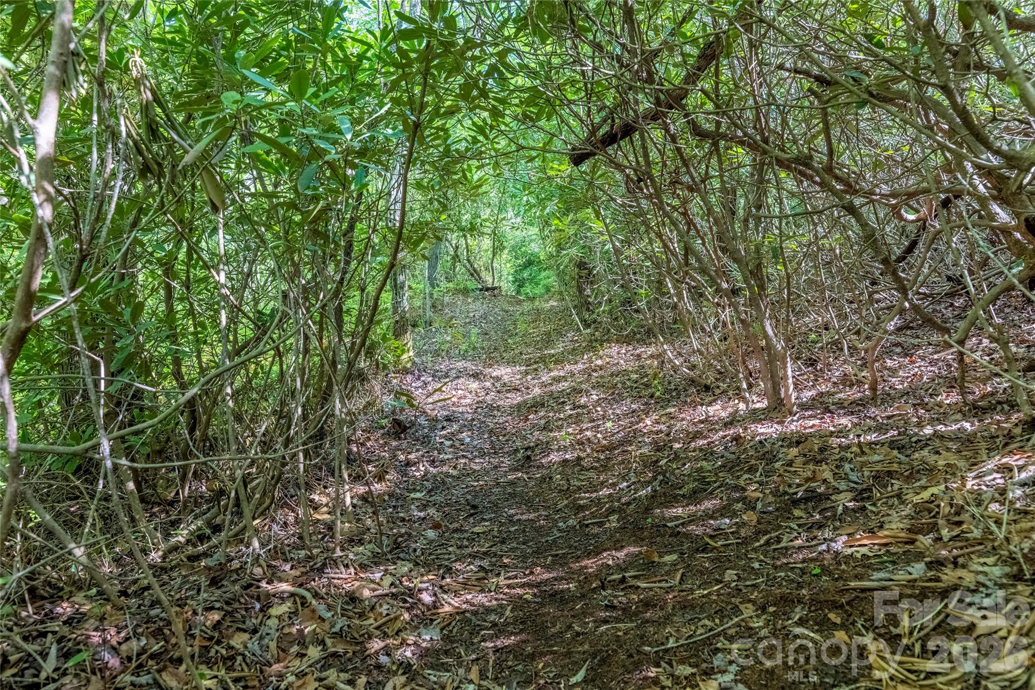 Tbd Long Ridge Road Property Photo 2