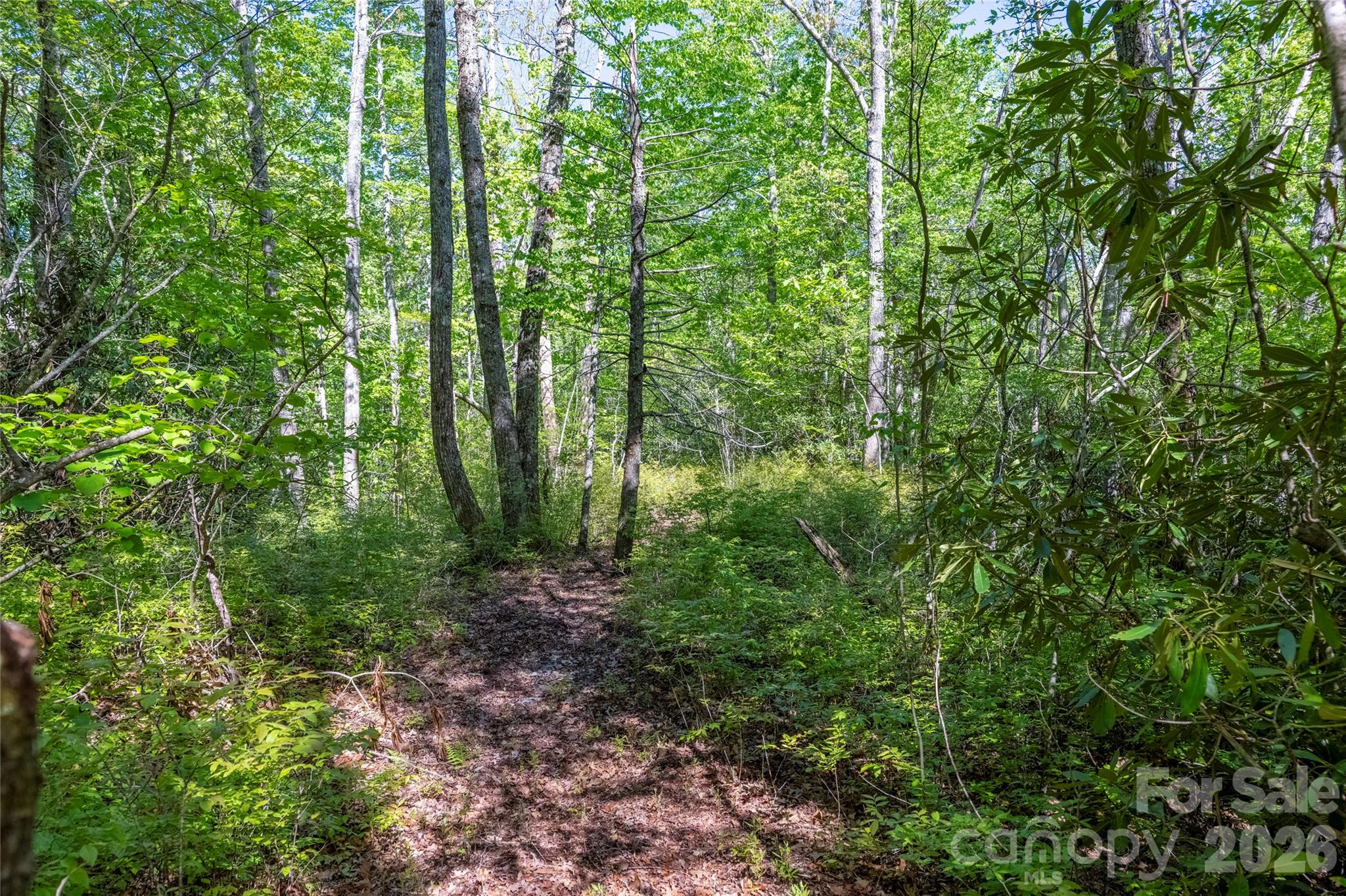 Tbd Long Ridge Road Property Photo 5