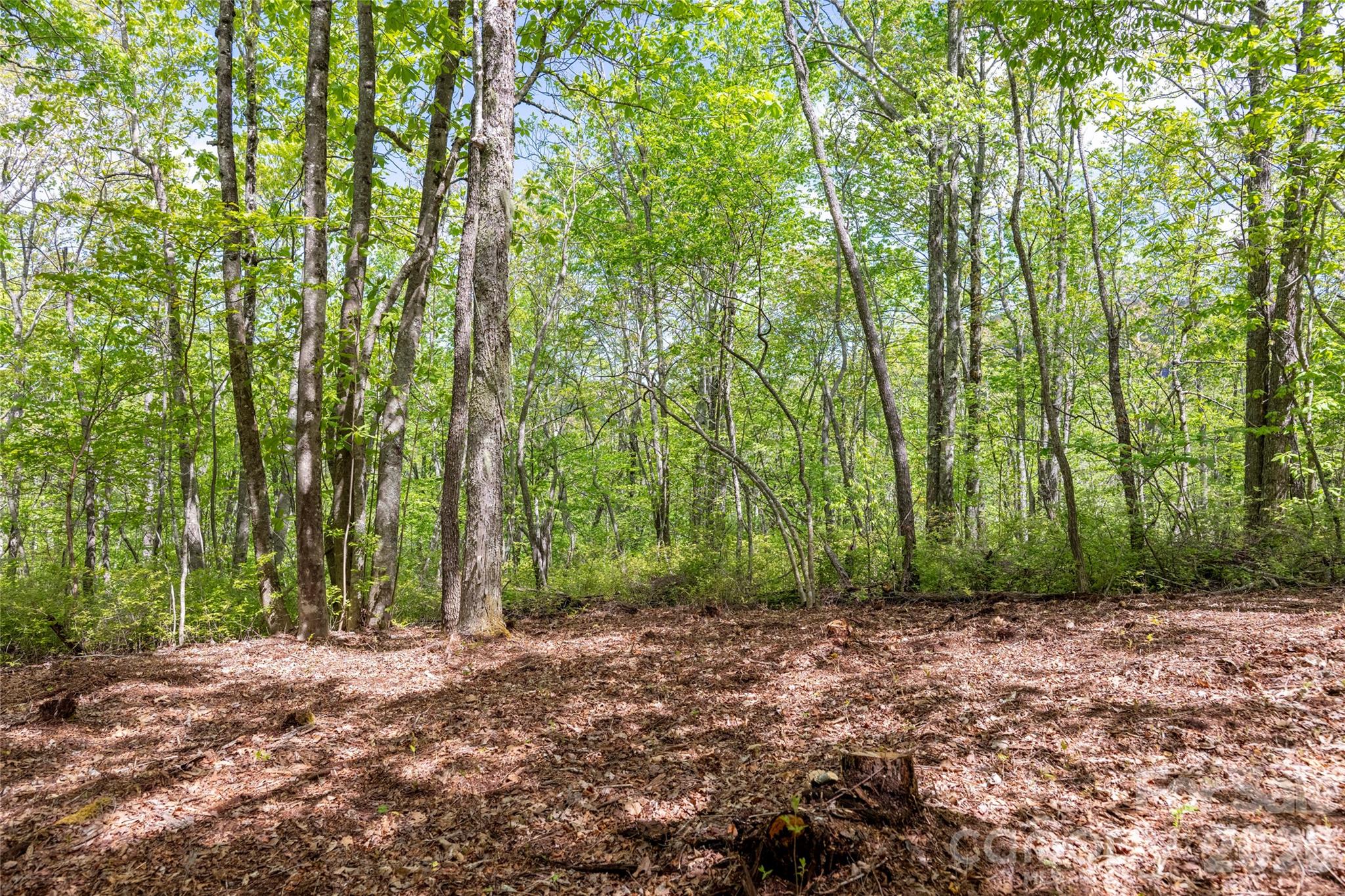 Tbd Long Ridge Road Property Photo 8