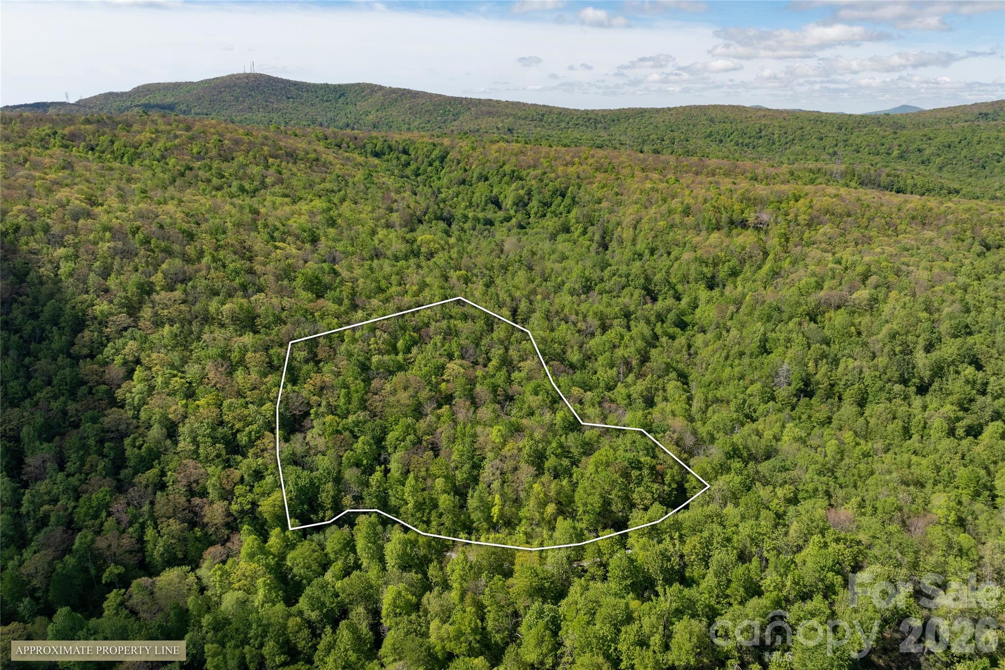 Tbd Long Ridge Road Property Photo 11