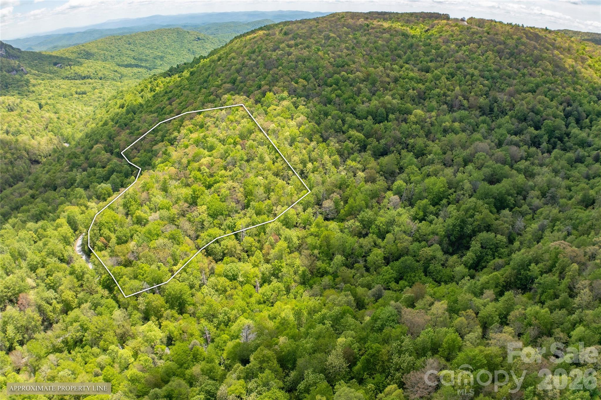 Tbd Long Ridge Road Property Photo 12