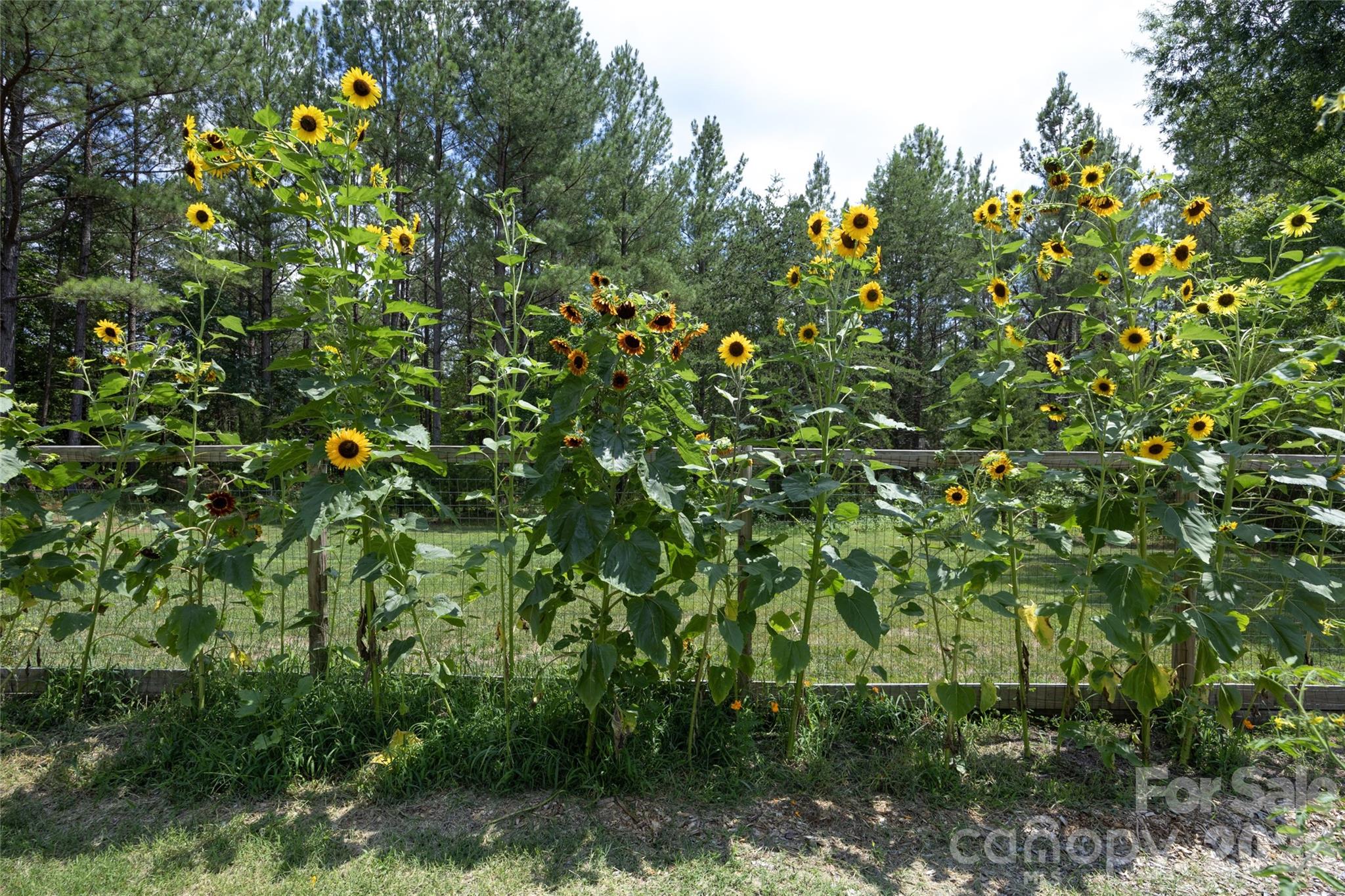 100 Fairmont Place Property Photo 35