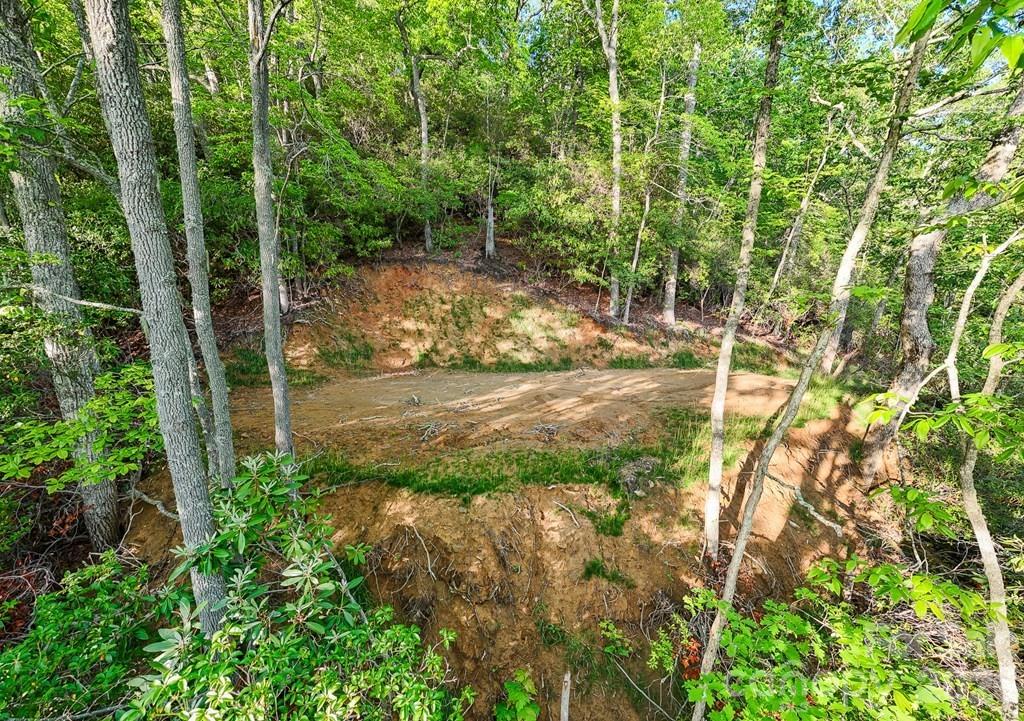 00 Falls View Drive 47 Property Photo 5