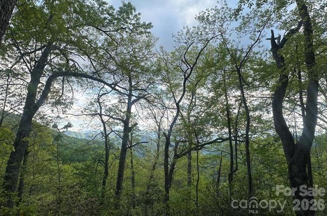 00 Falls View Drive 47 Property Photo 23