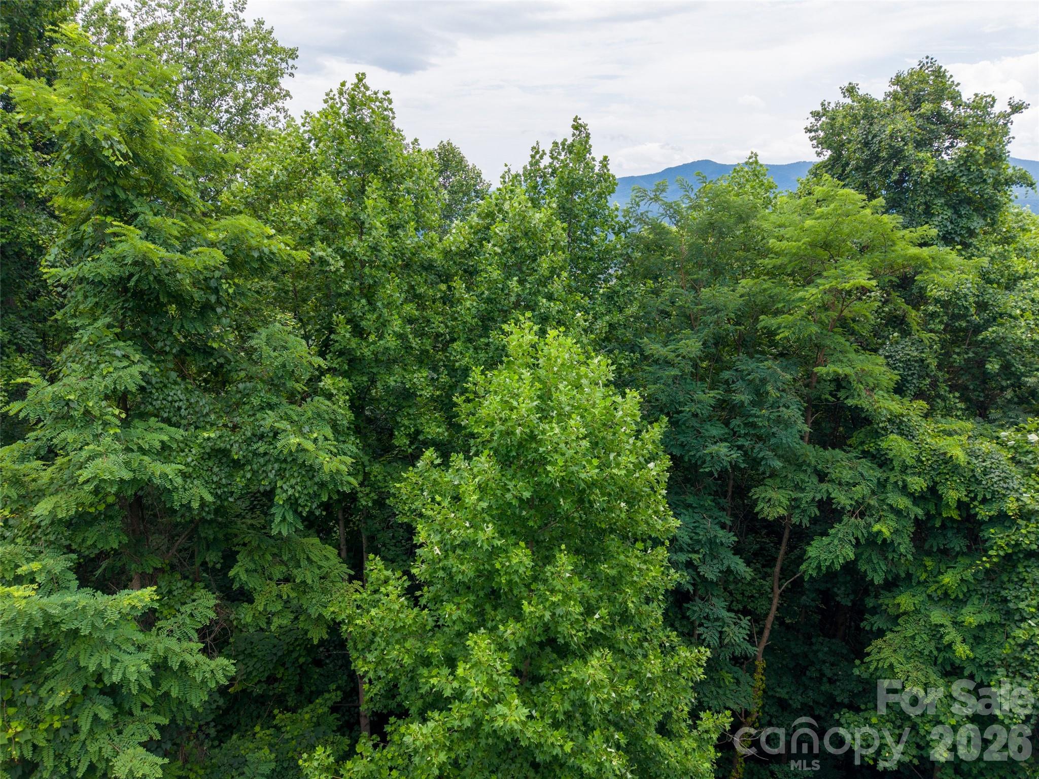 236 Nottingham Drive Property Photo 12