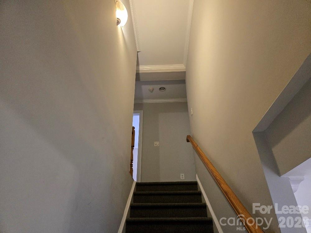 2359 Madeline Meadow Drive Property Photo 12