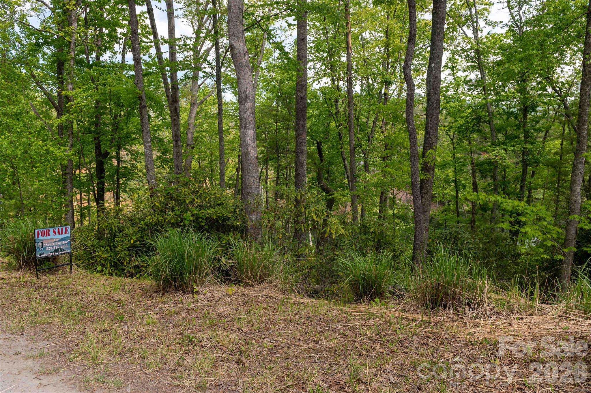 00 Deer Park Lake Road Property Photo 3