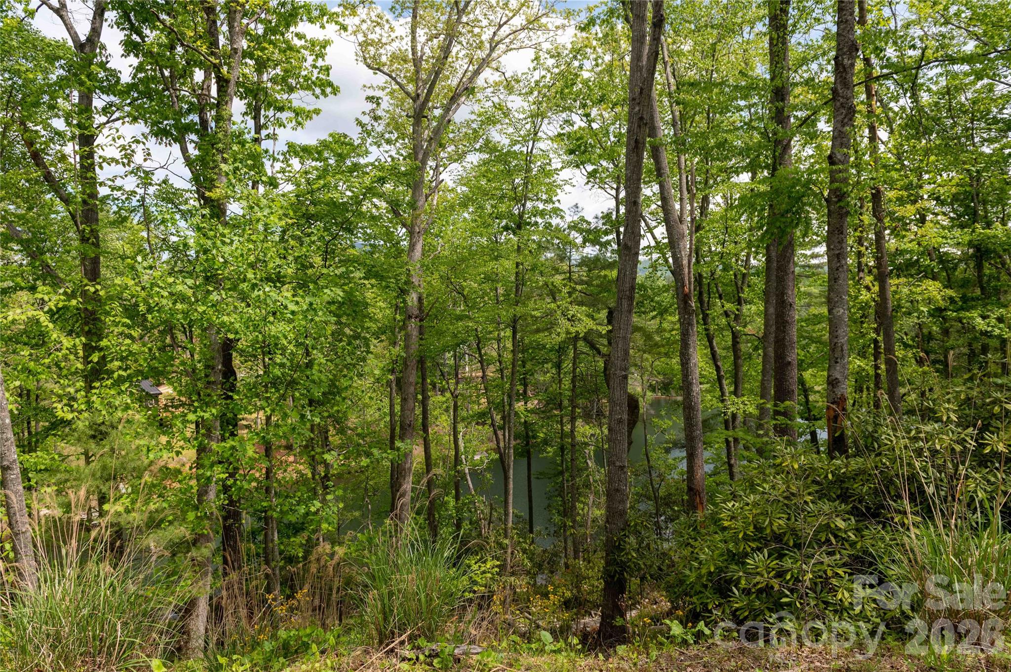 00 Deer Park Lake Road Property Photo 4
