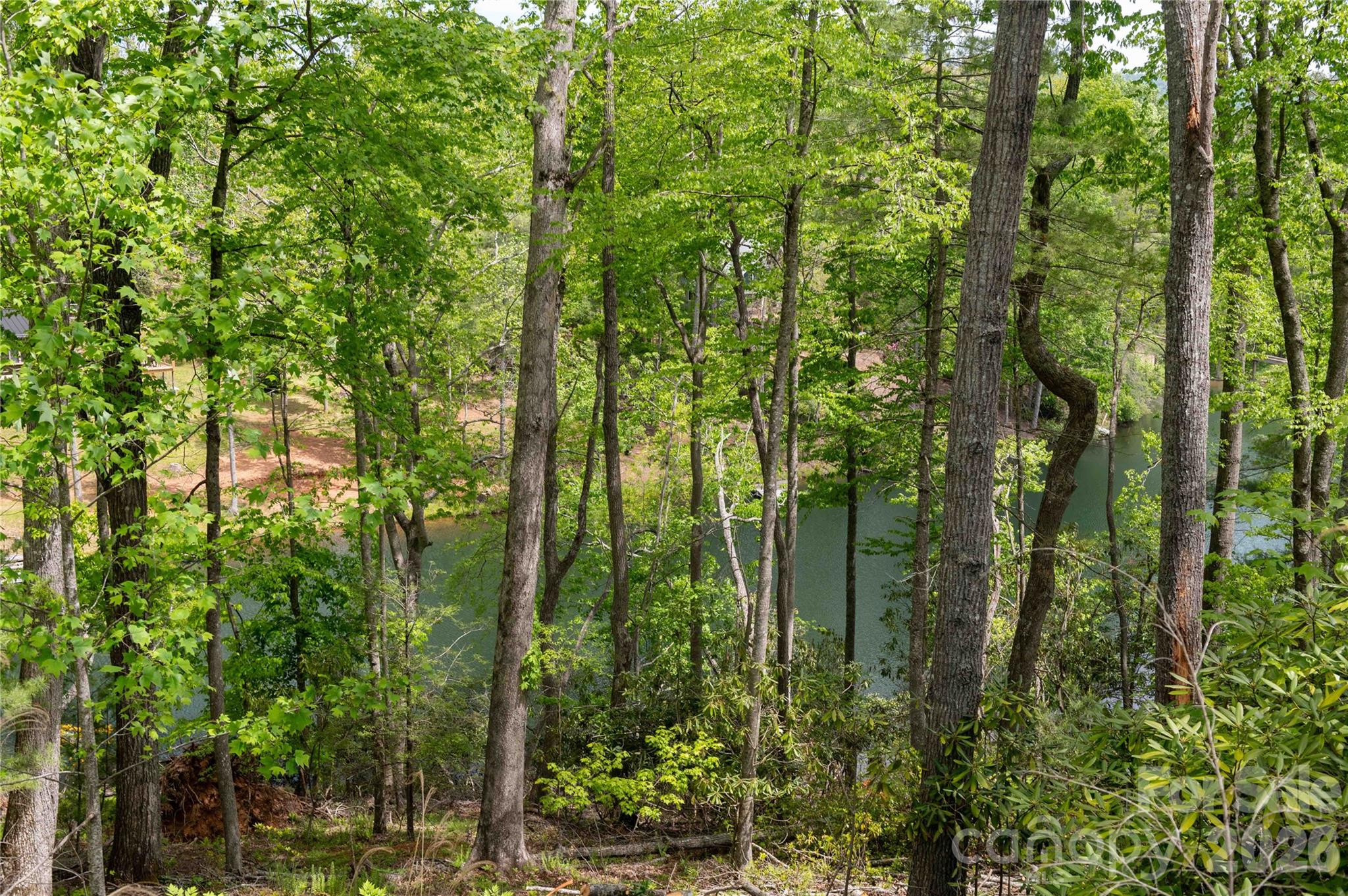 00 Deer Park Lake Road Property Photo 5