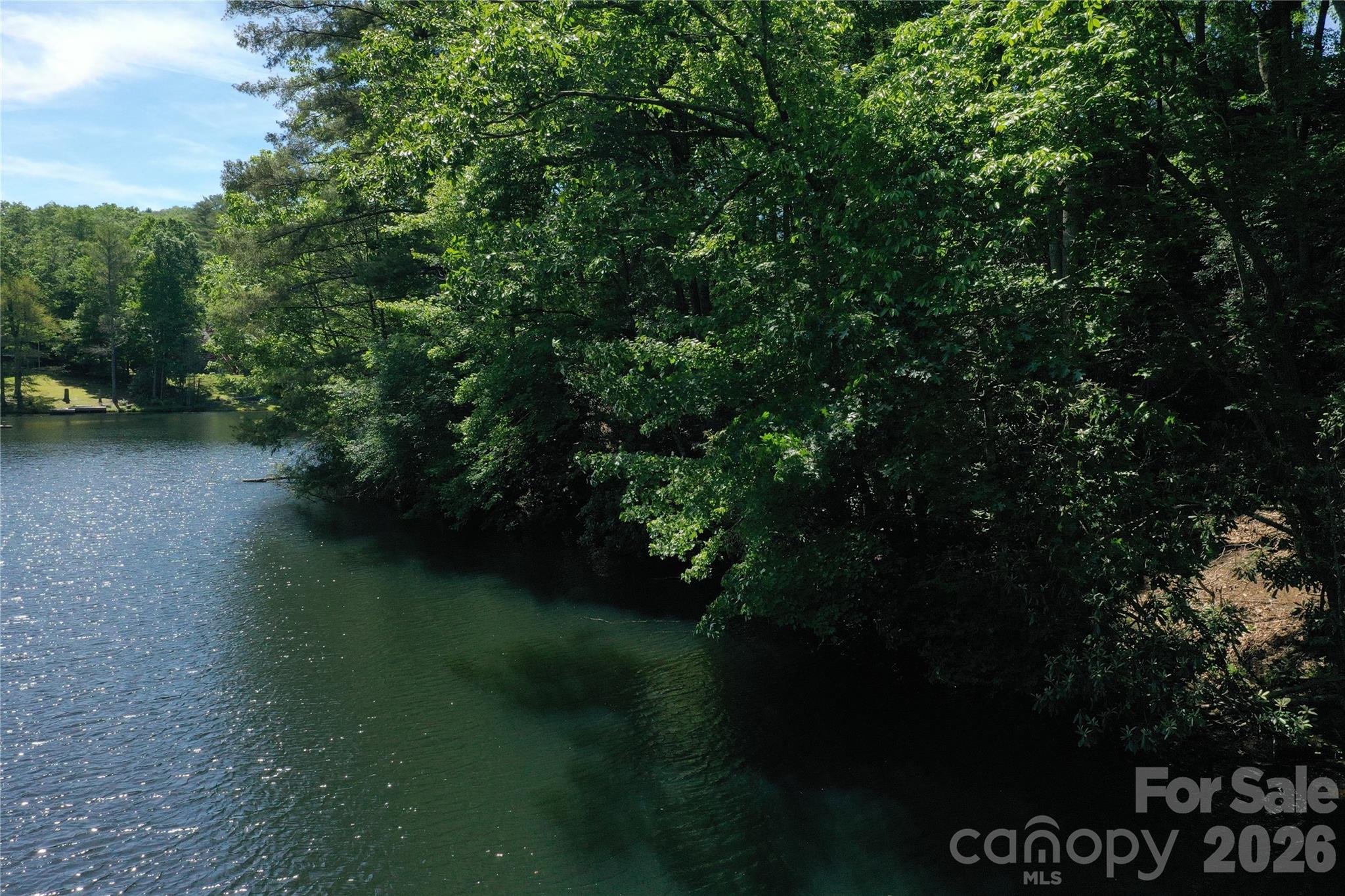 00 Deer Park Lake Road Property Photo 6