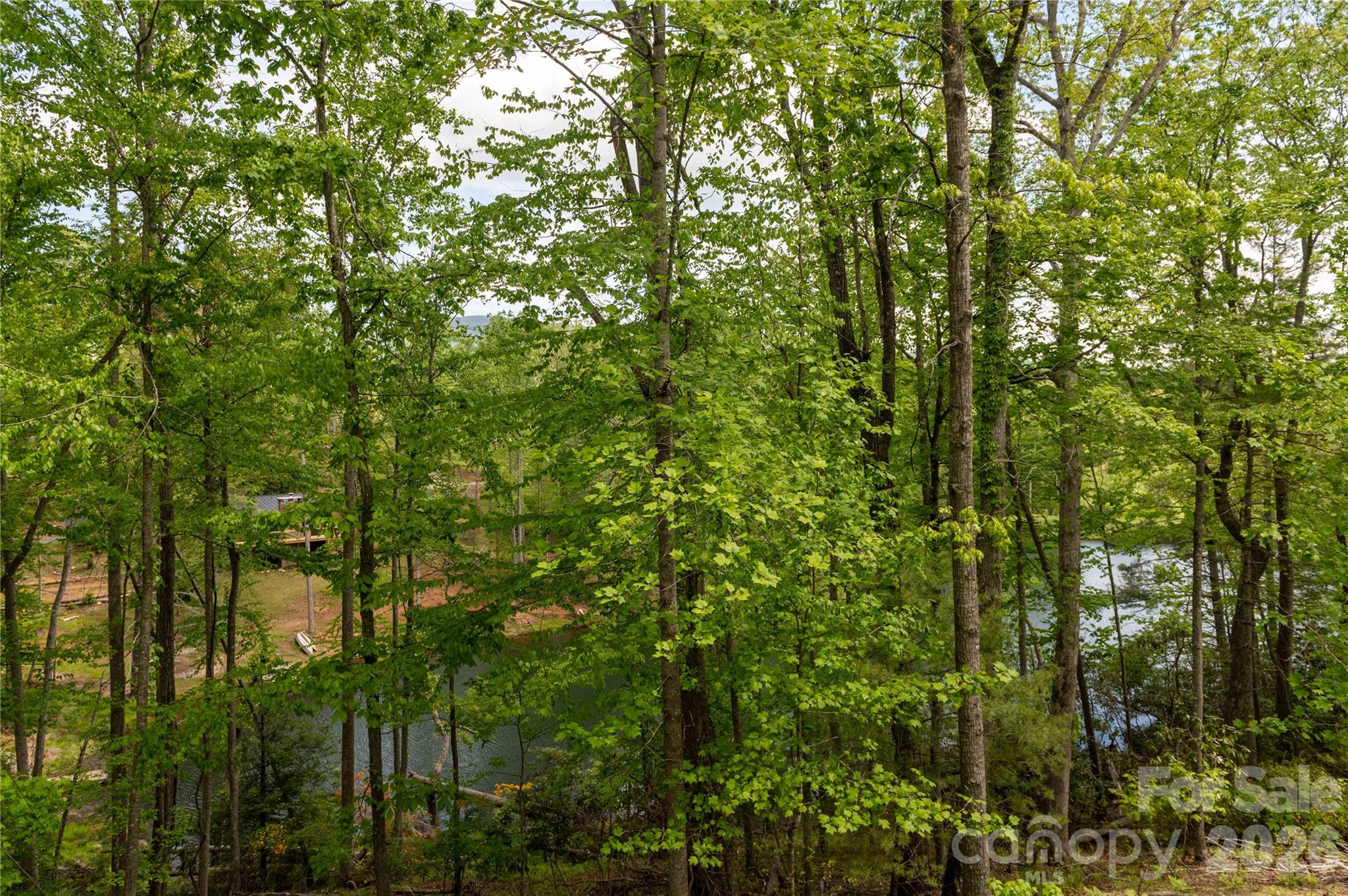 00 Deer Park Lake Road Property Photo 7