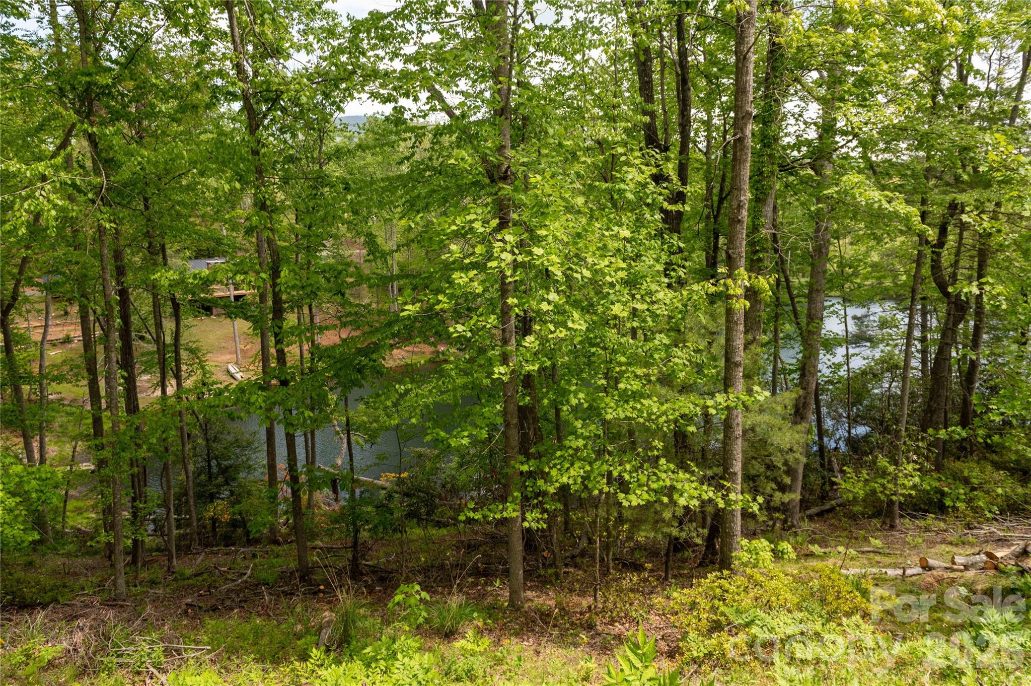 00 Deer Park Lake Road Property Photo 8