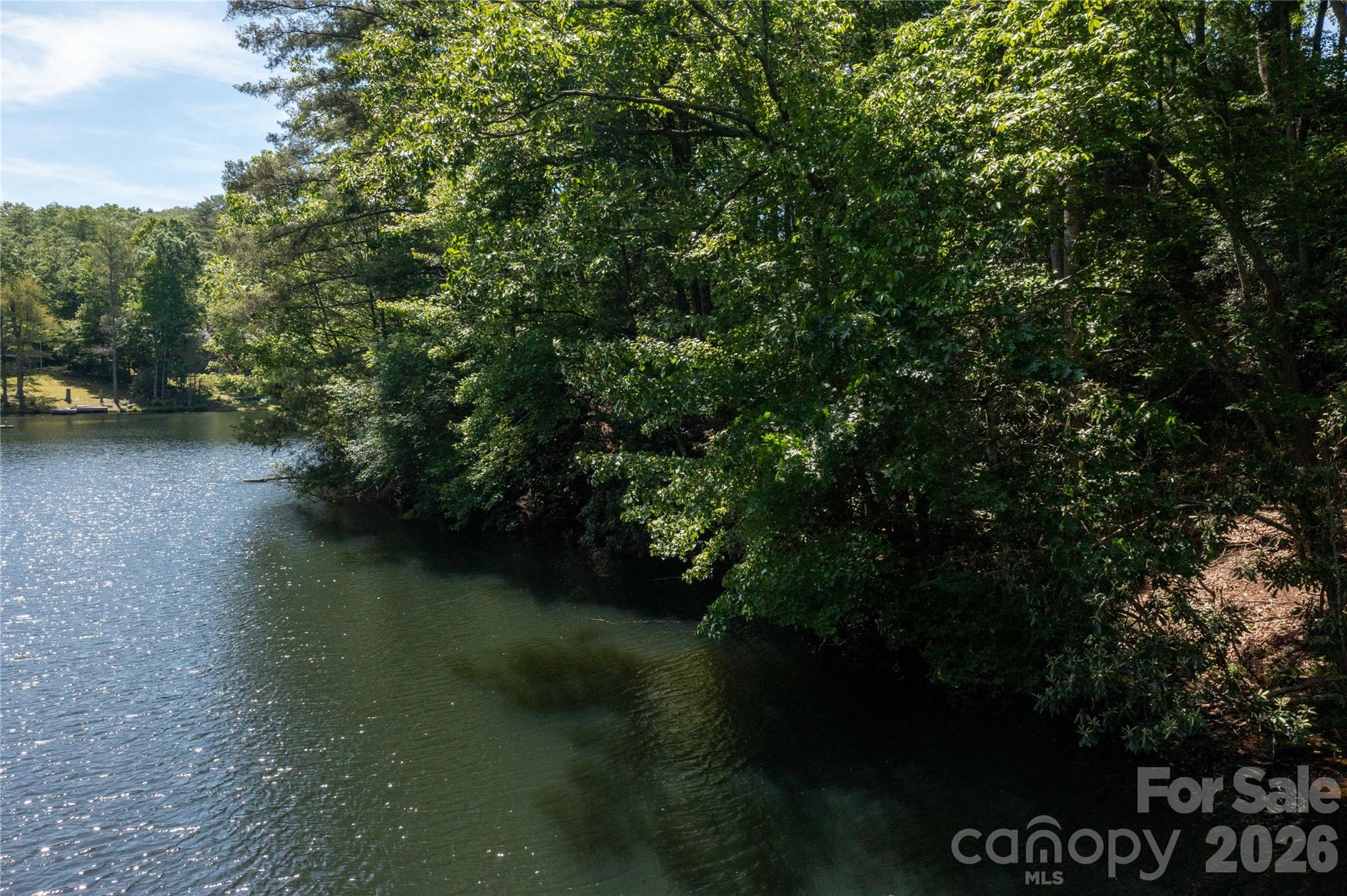 00 Deer Park Lake Road Property Photo 9