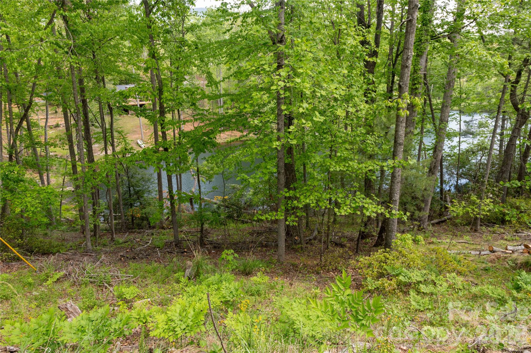 00 Deer Park Lake Road Property Photo 10