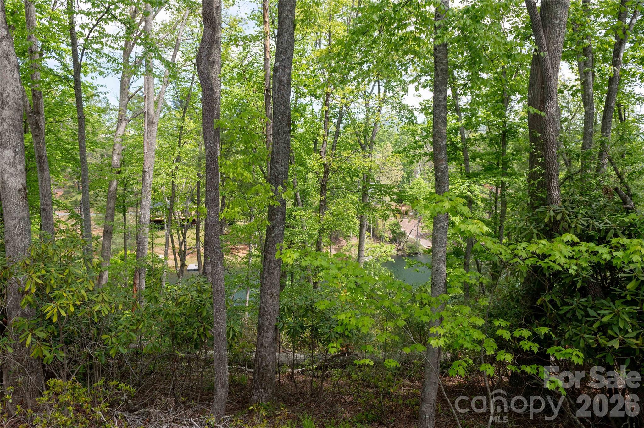 00 Deer Park Lake Road Property Photo 11