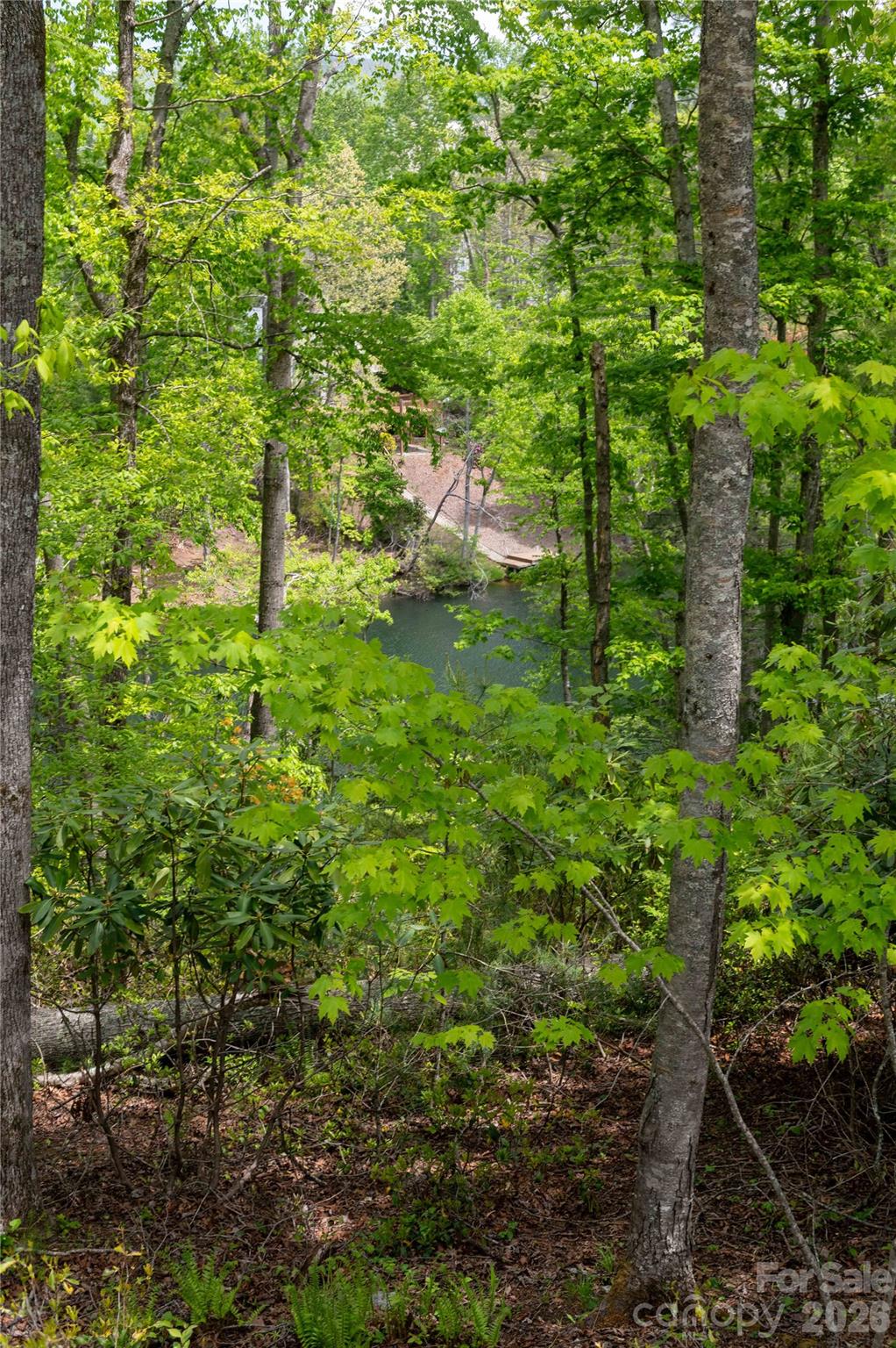00 Deer Park Lake Road Property Photo 12
