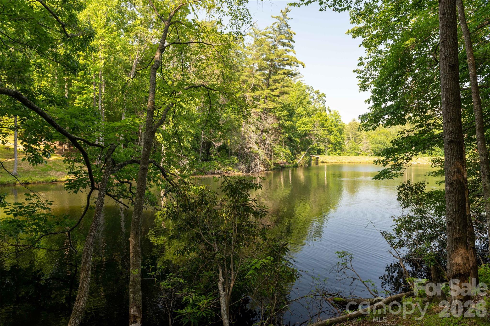00 Deer Park Lake Road Property Photo 13