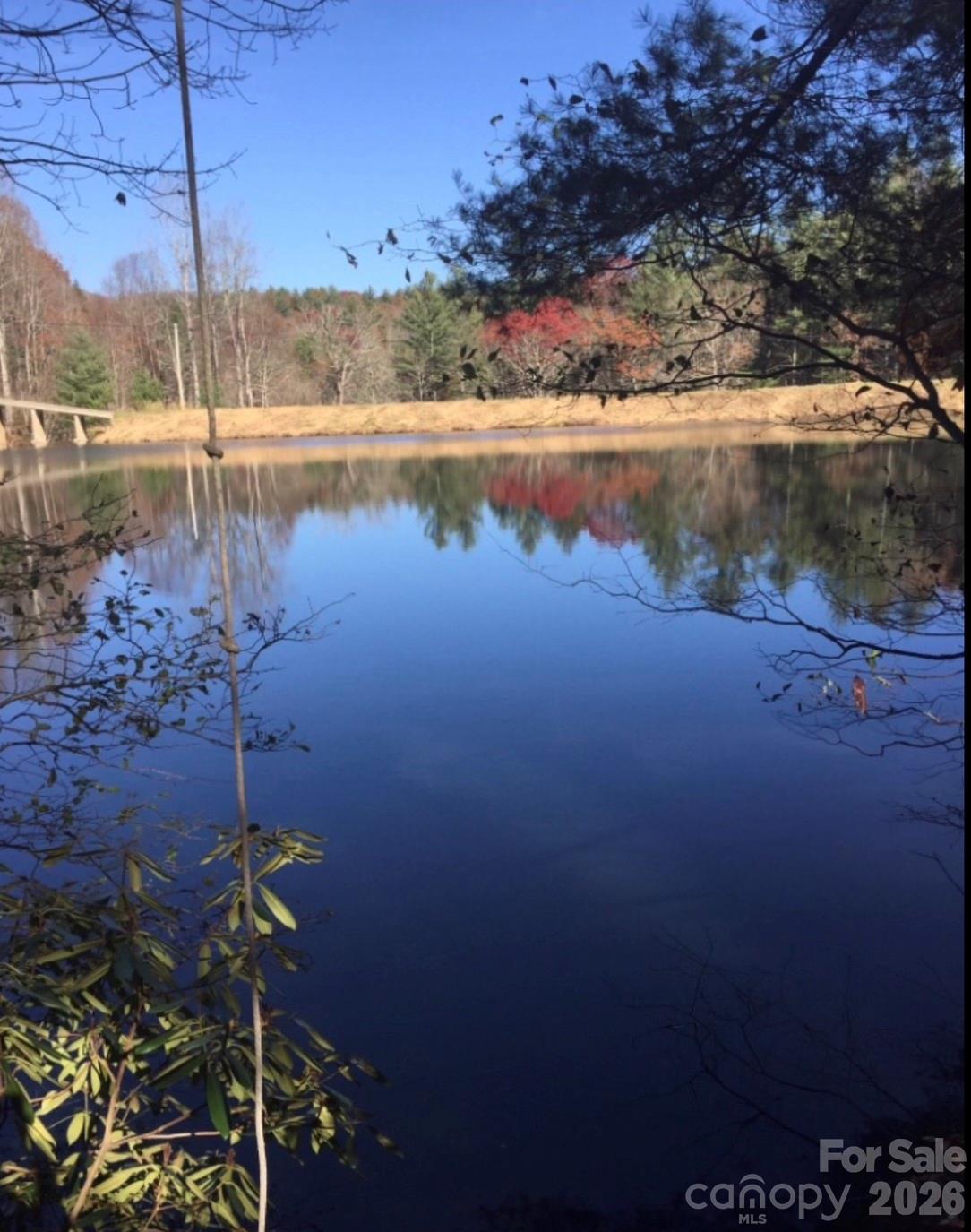 00 Deer Park Lake Road Property Photo 17