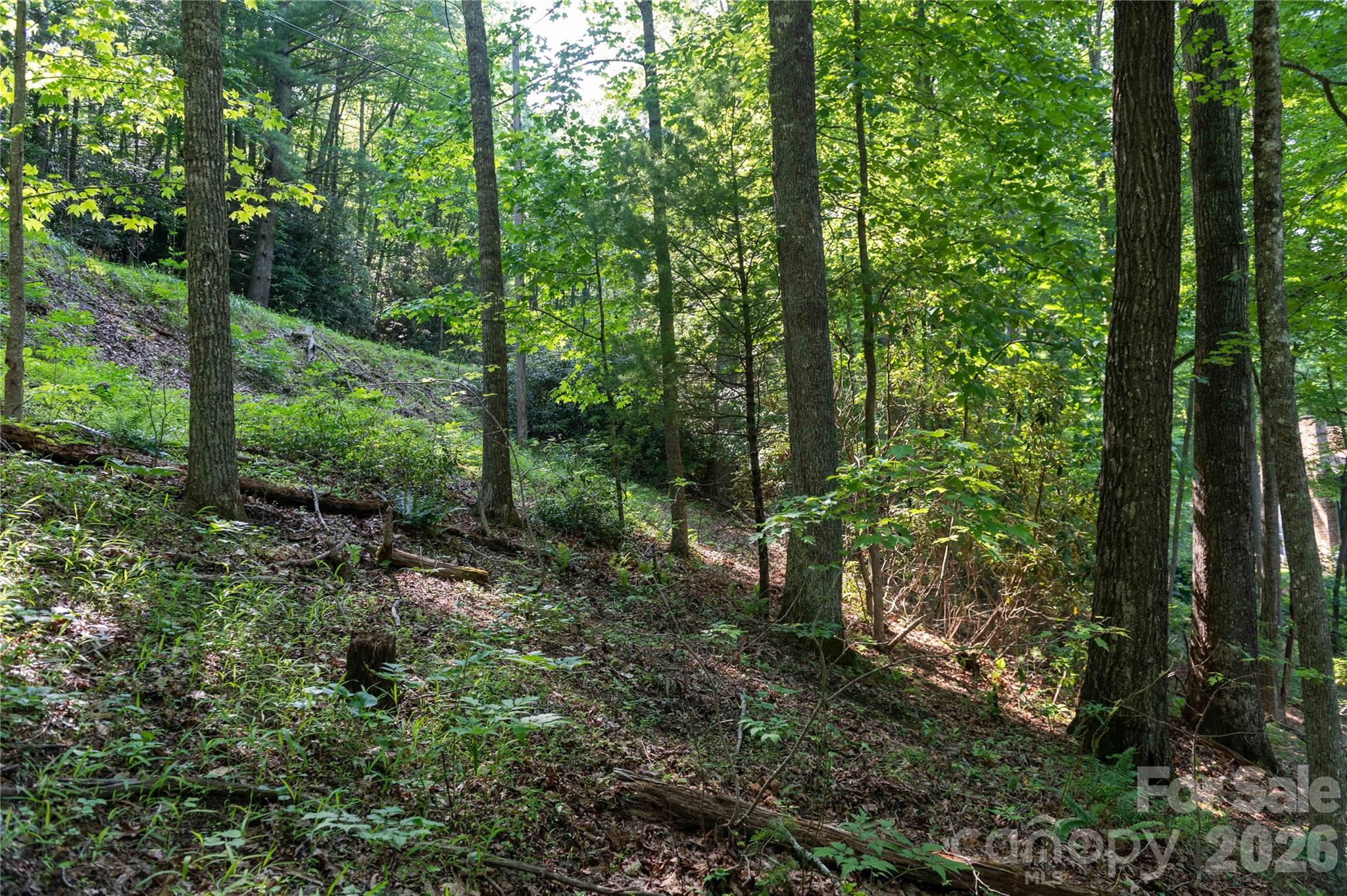 00 Deer Park Lake Road Property Photo 22