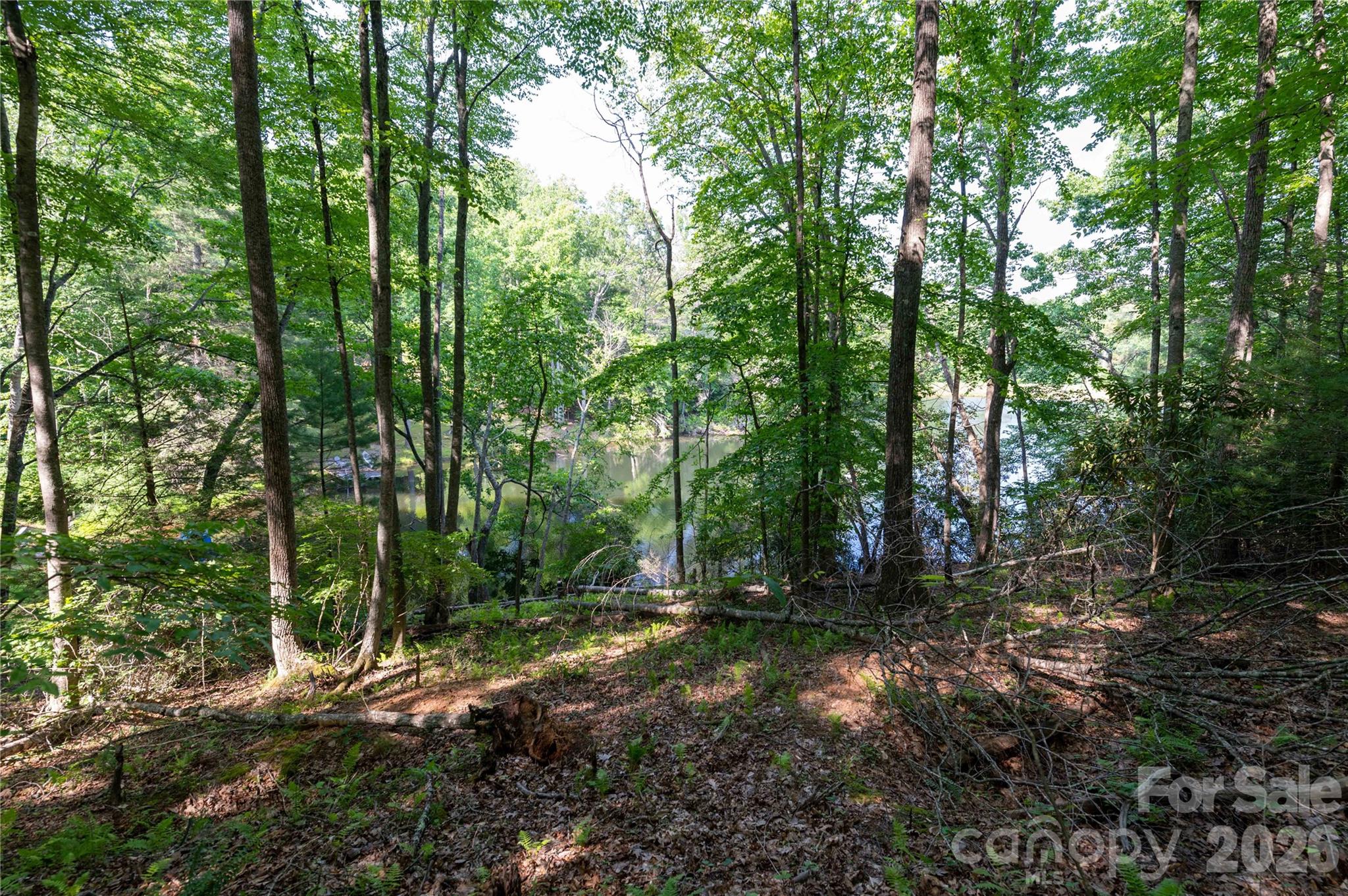 00 Deer Park Lake Road Property Photo 23