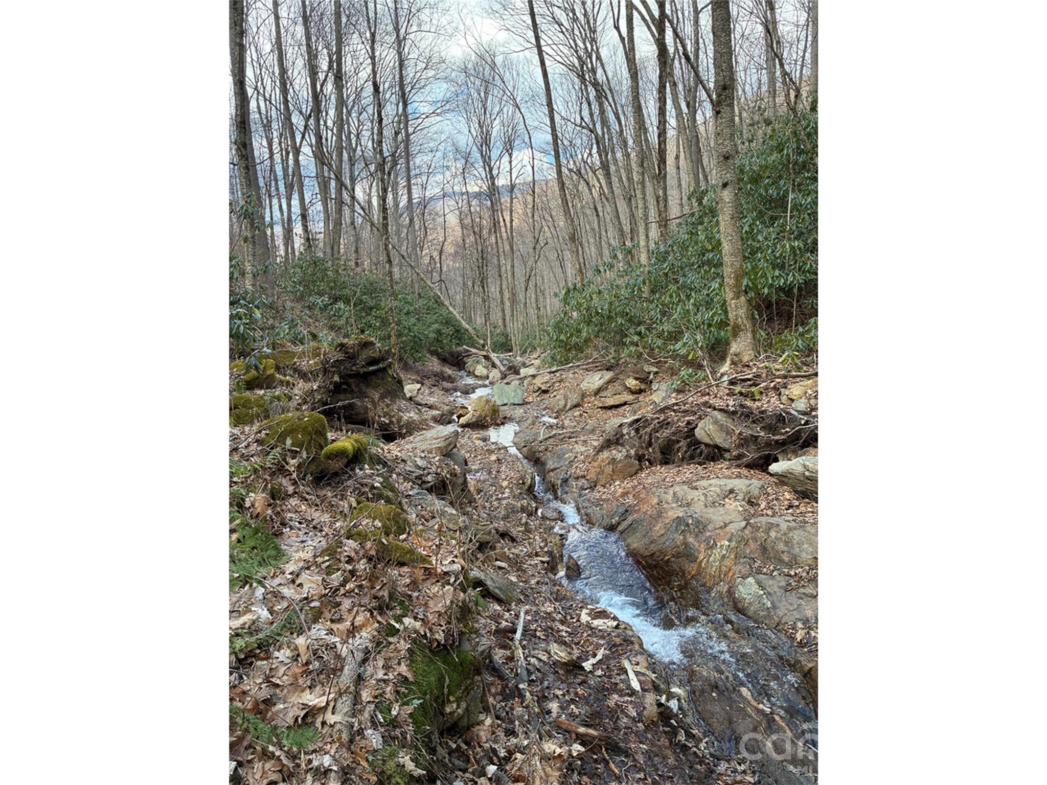 000 Ogles Gap Road Property Photo 1