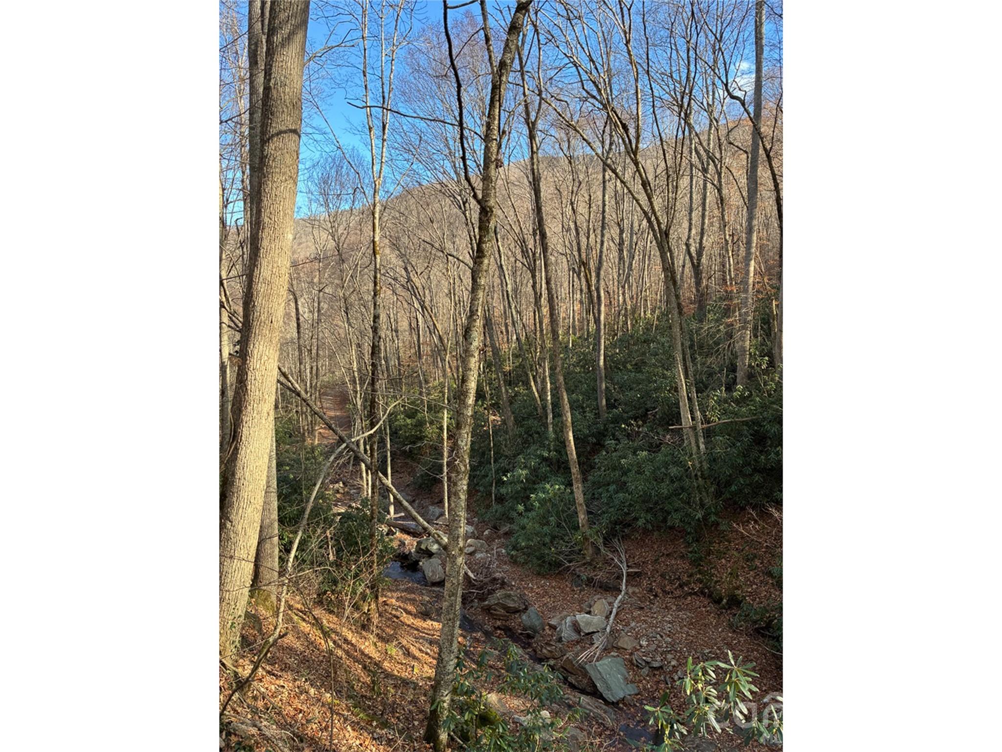000 Ogles Gap Road Property Photo 3