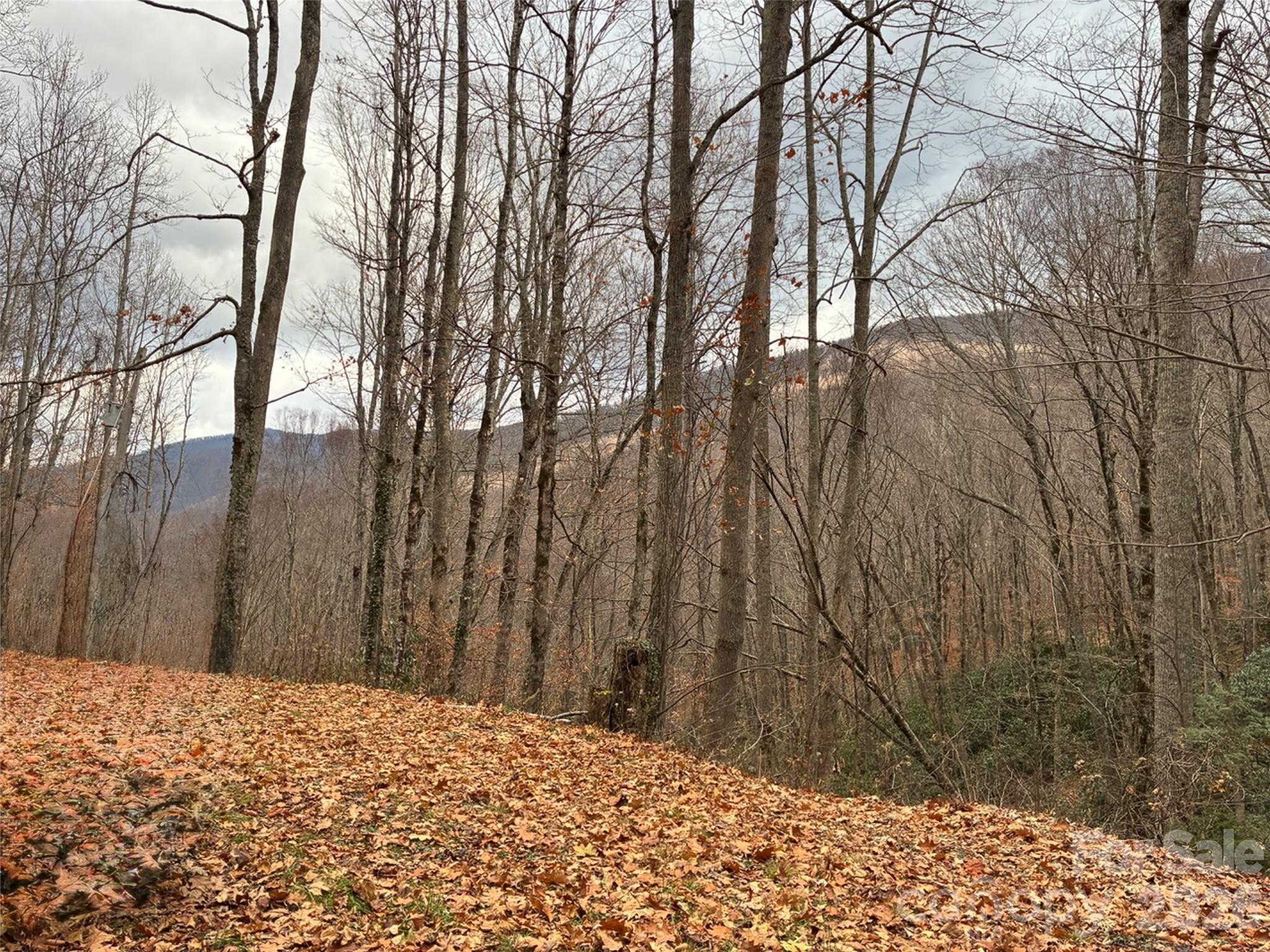 000 Ogles Gap Road Property Photo 4