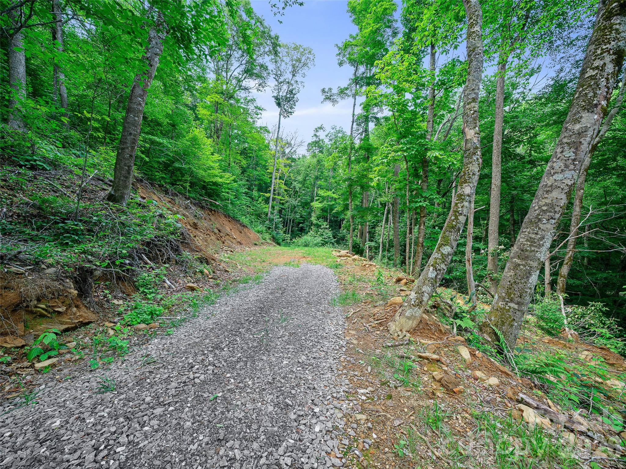 000 Ogles Gap Road Property Photo 5