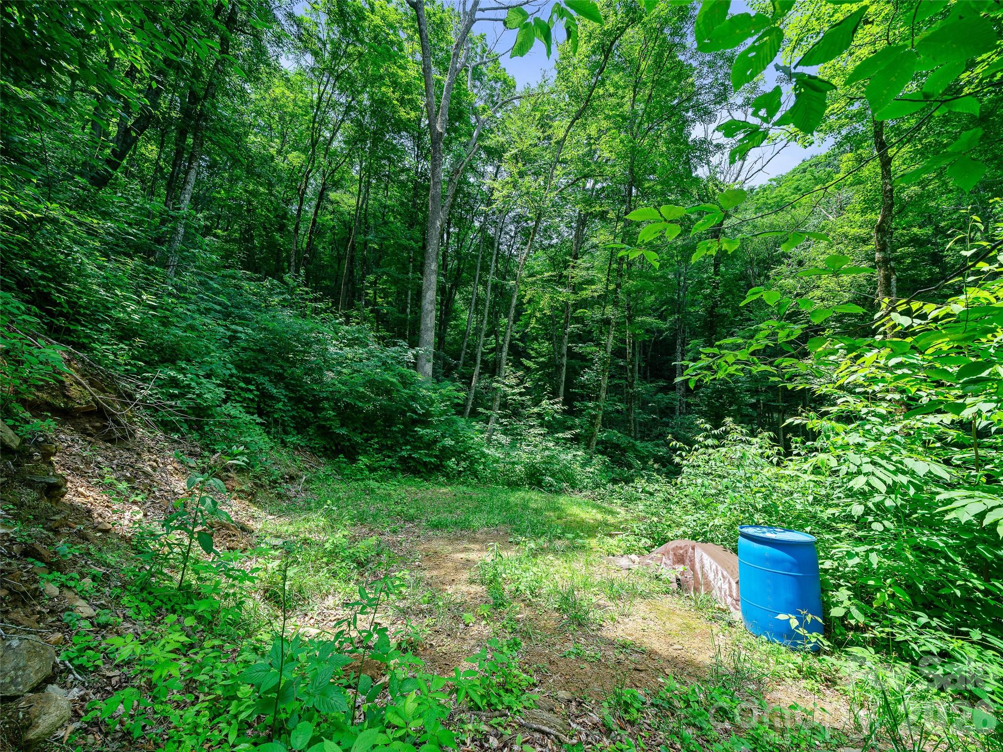 000 Ogles Gap Road Property Photo 6