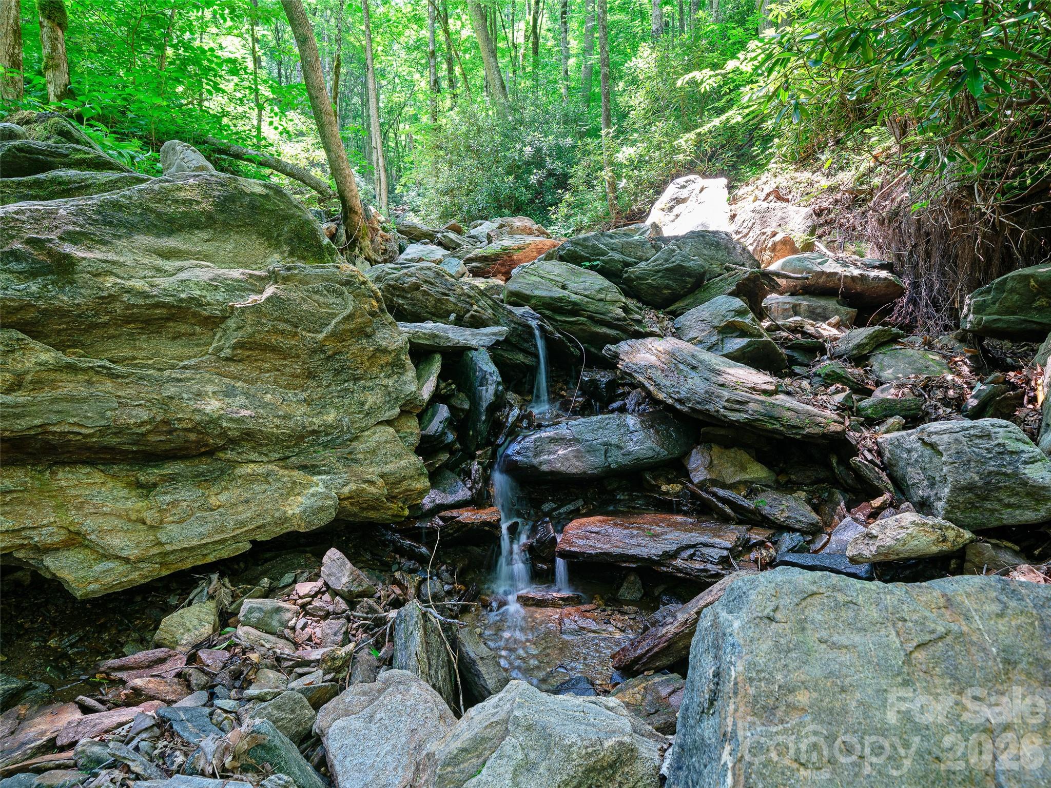 000 Ogles Gap Road Property Photo 7