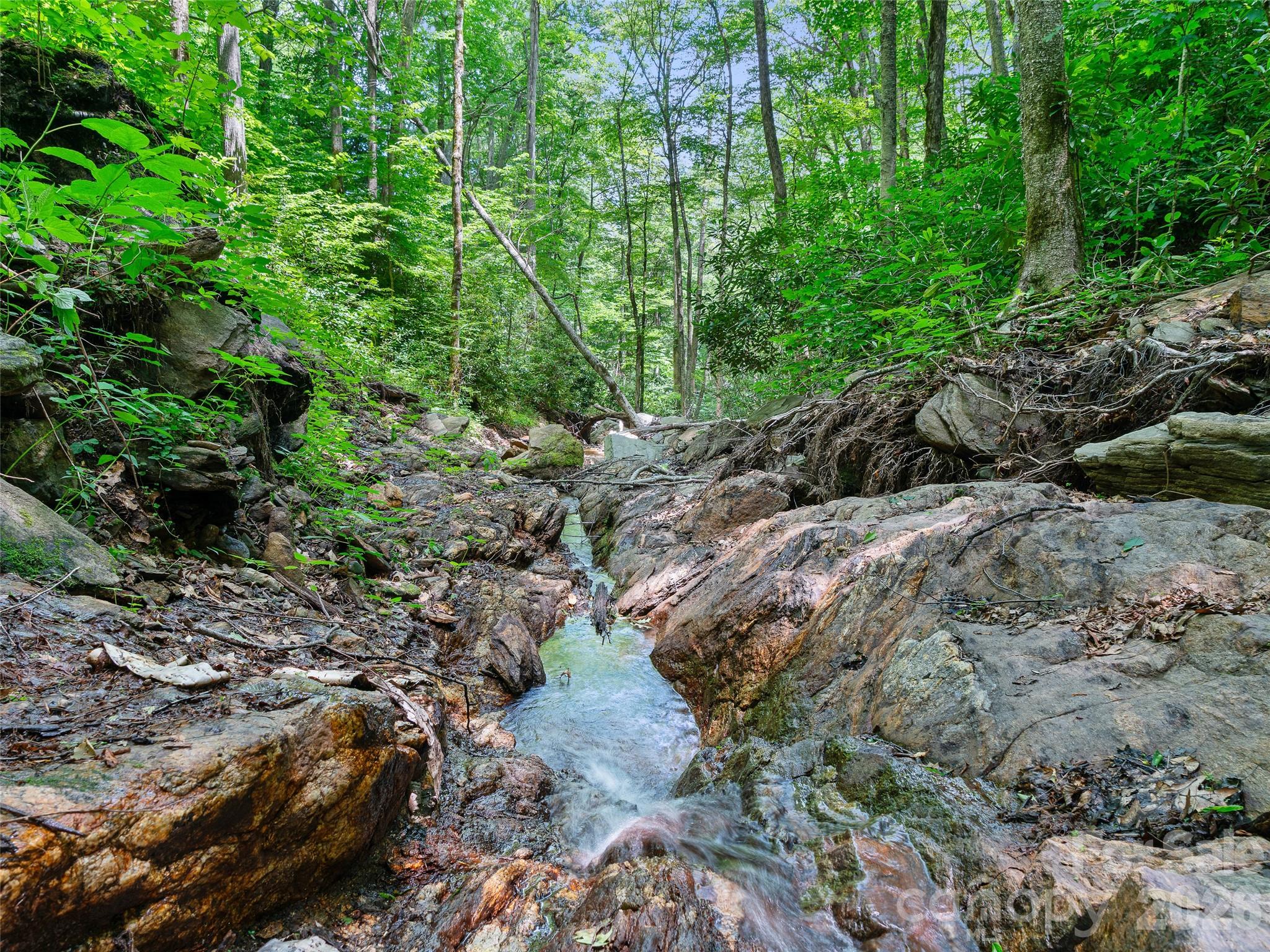 000 Ogles Gap Road Property Photo 8
