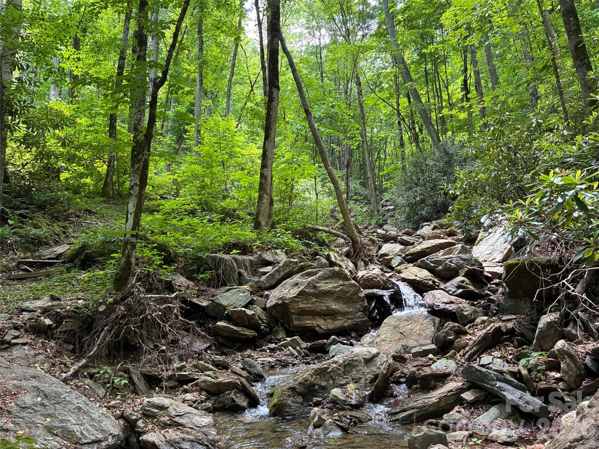 000 Ogles Gap Road Property Photo 9