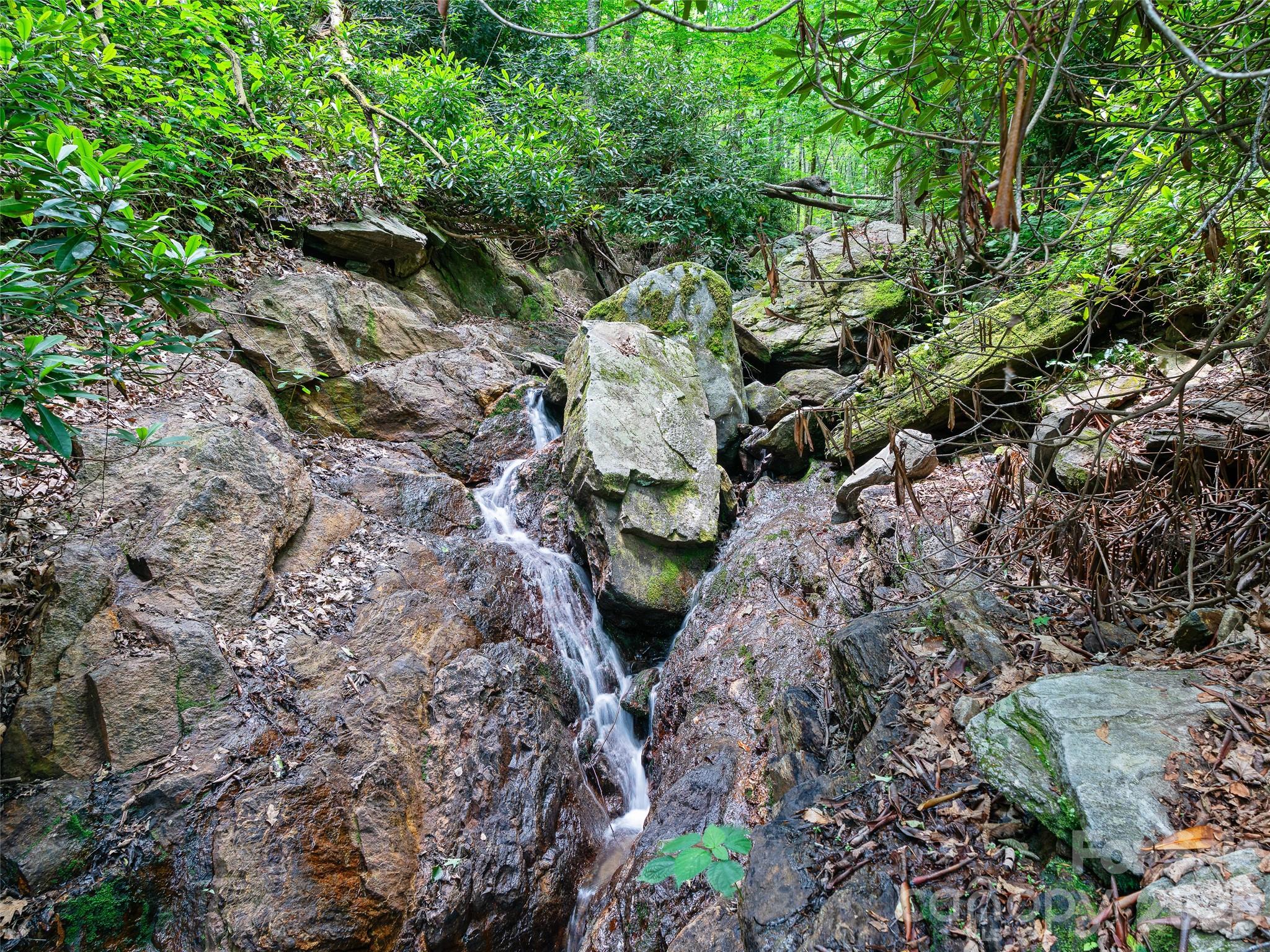 000 Ogles Gap Road Property Photo 10
