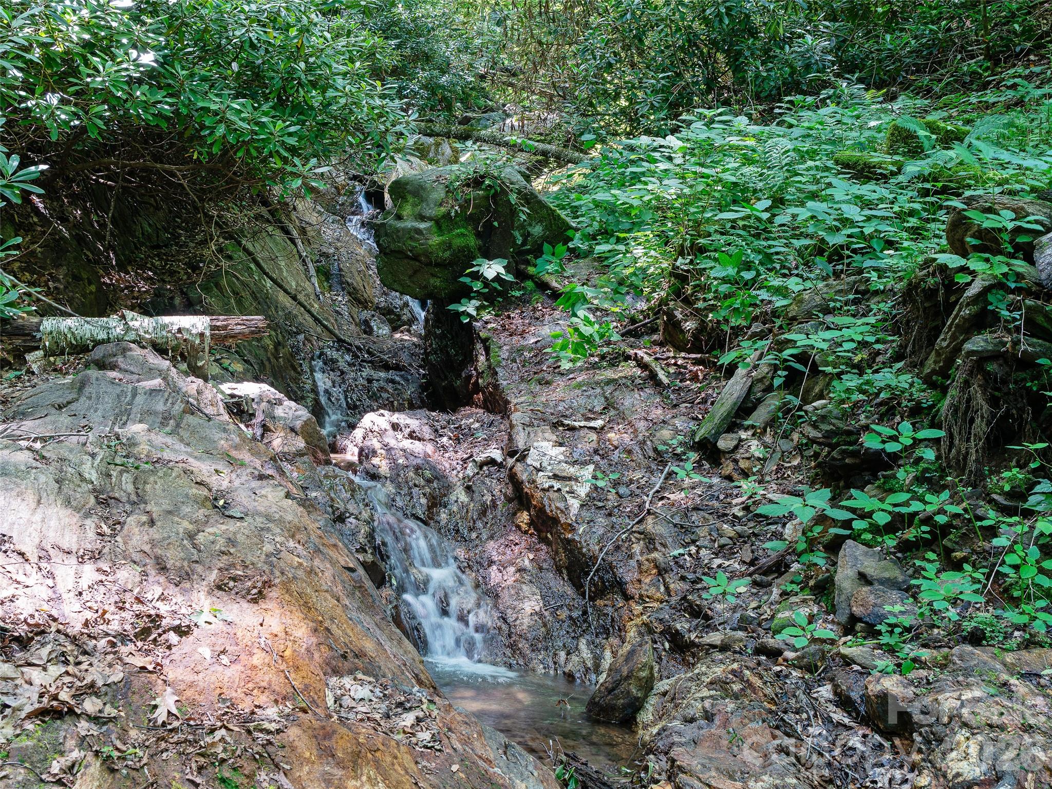 000 Ogles Gap Road Property Photo 11