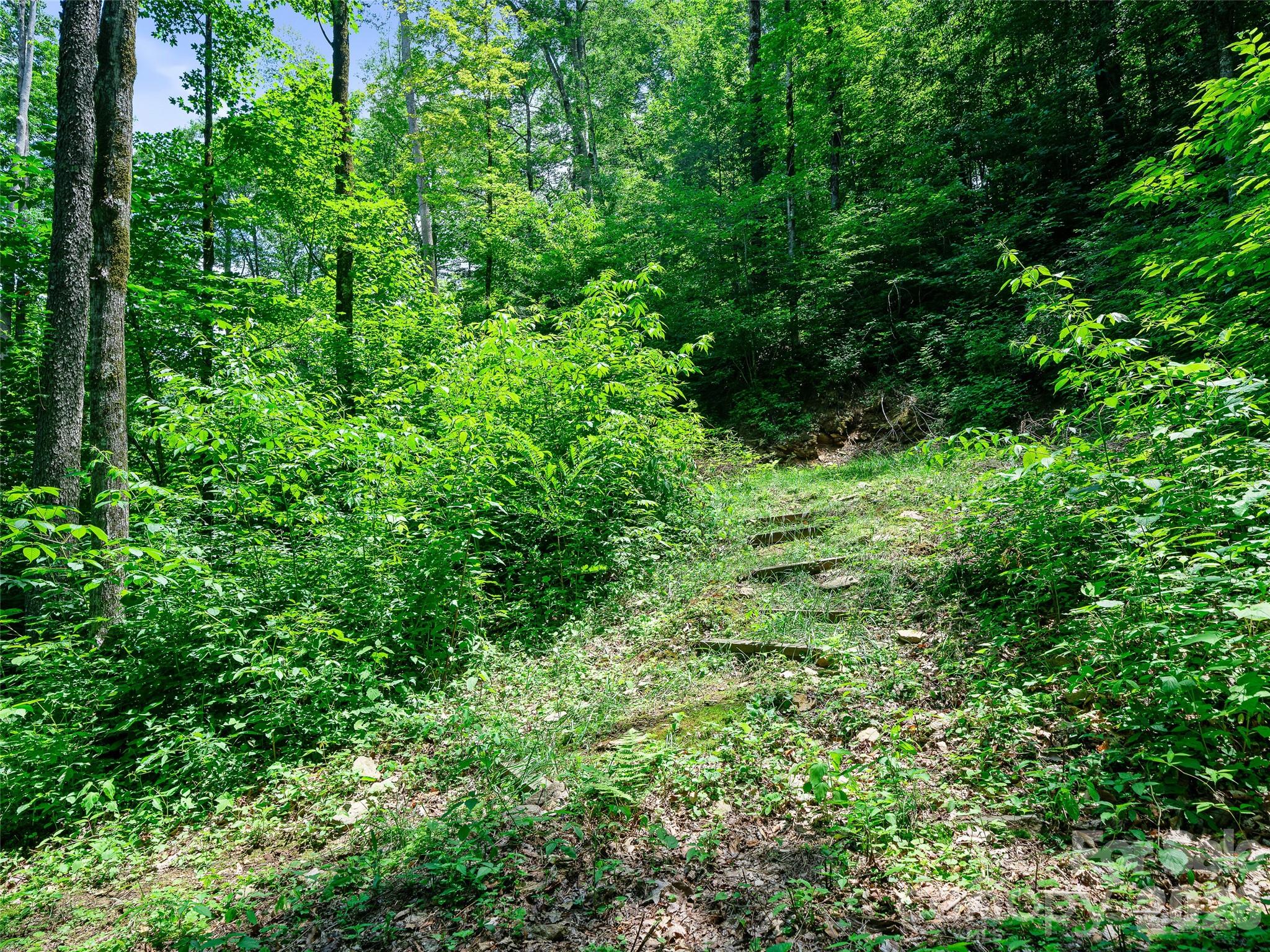 000 Ogles Gap Road Property Photo 14