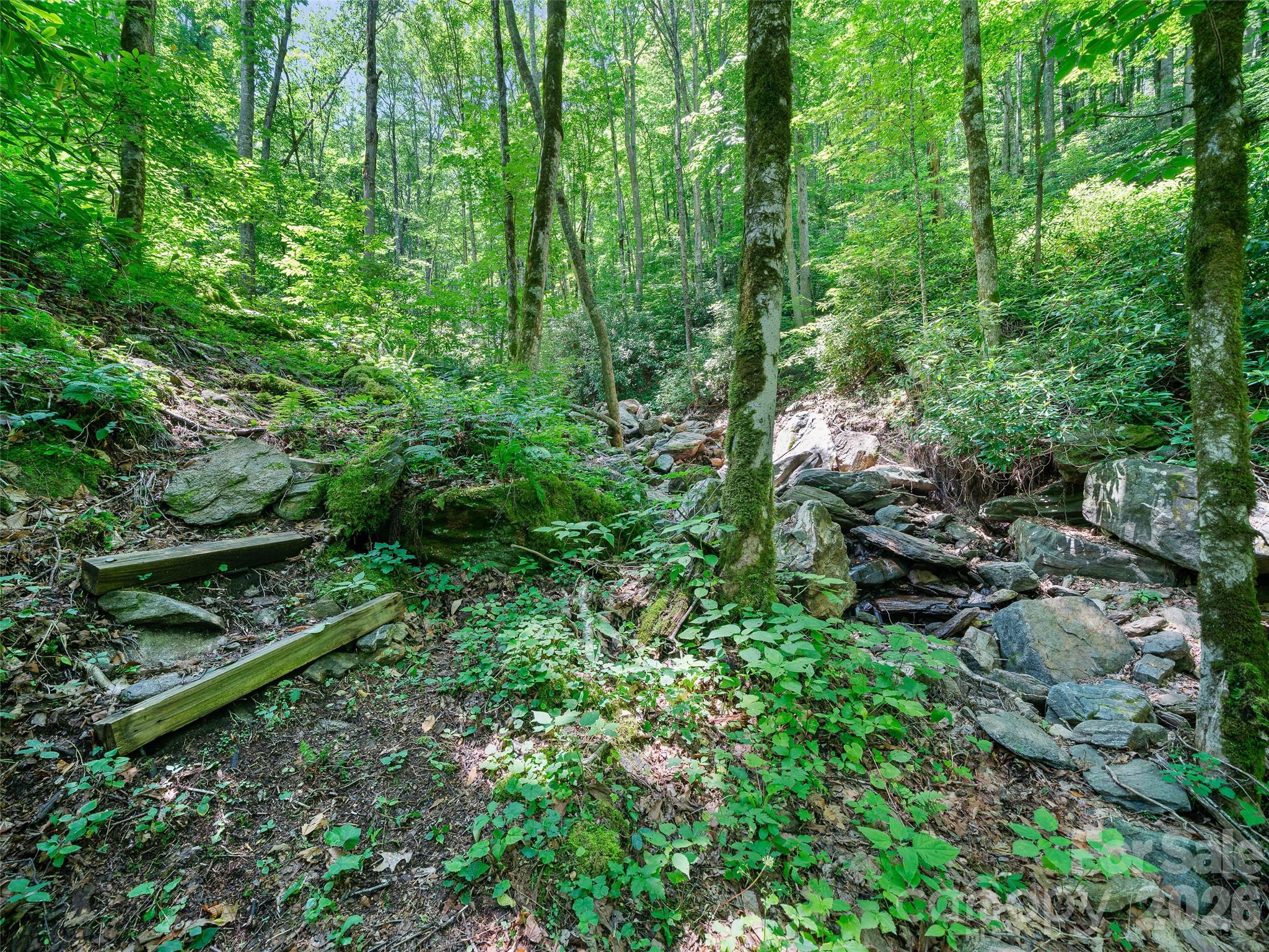 000 Ogles Gap Road Property Photo 15