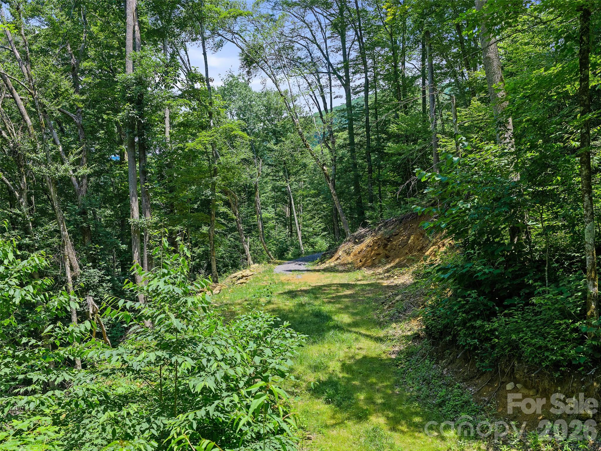 000 Ogles Gap Road Property Photo 16