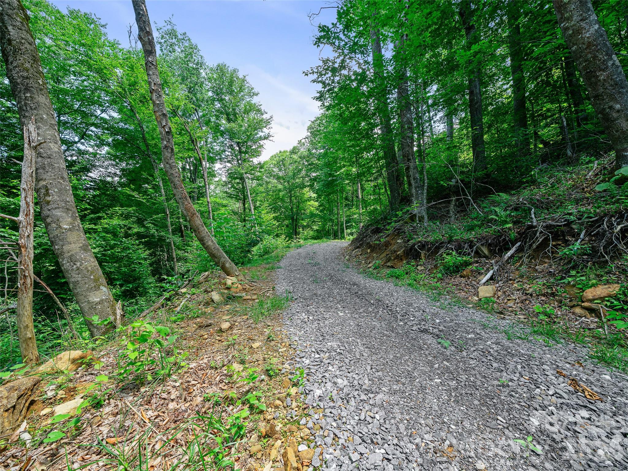 000 Ogles Gap Road Property Photo 17