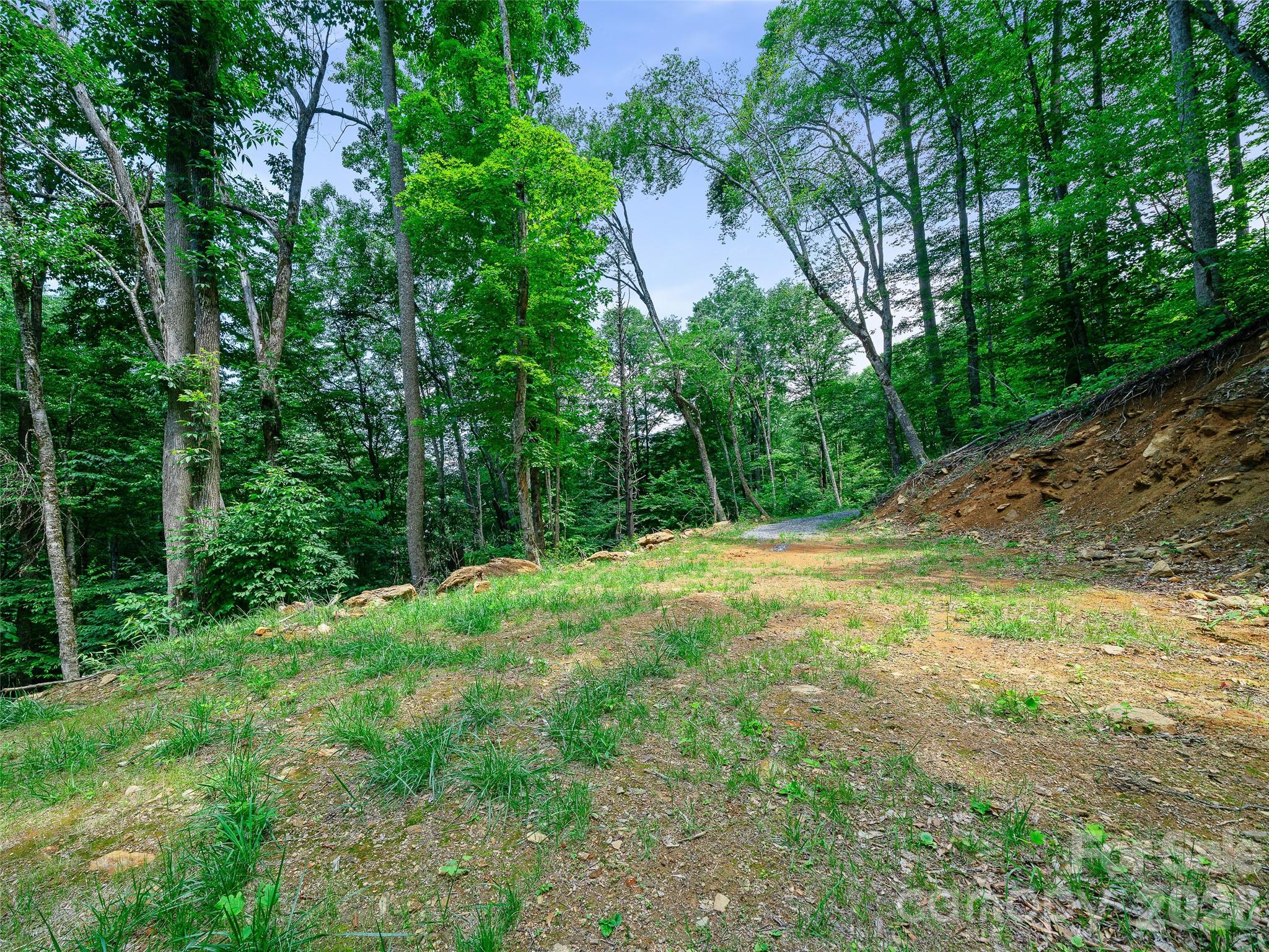 000 Ogles Gap Road Property Photo 18