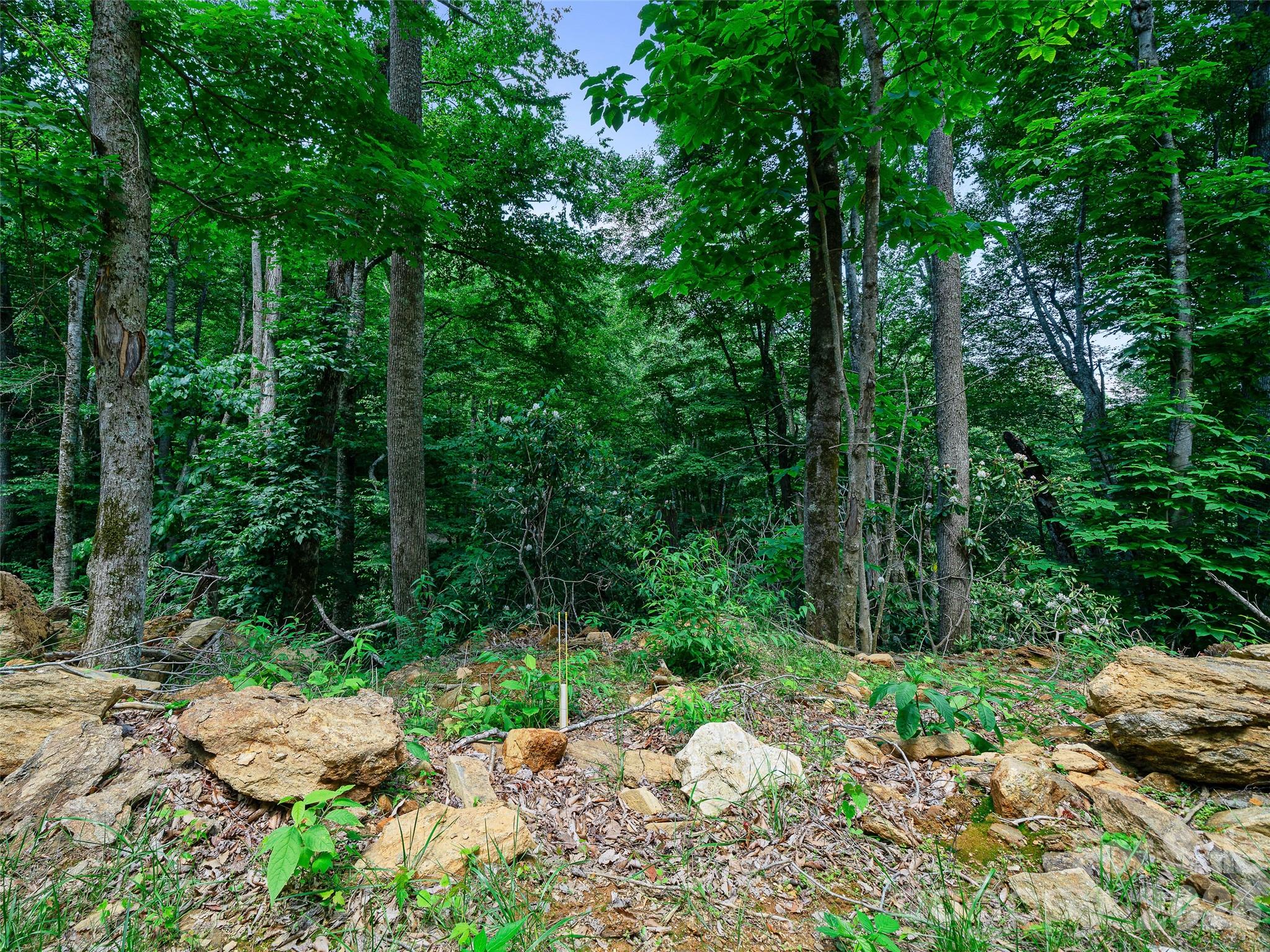 000 Ogles Gap Road Property Photo 19