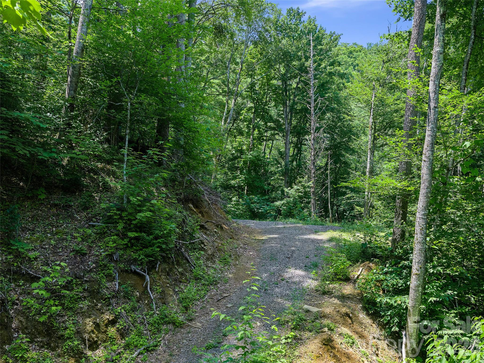 000 Ogles Gap Road Property Photo 20