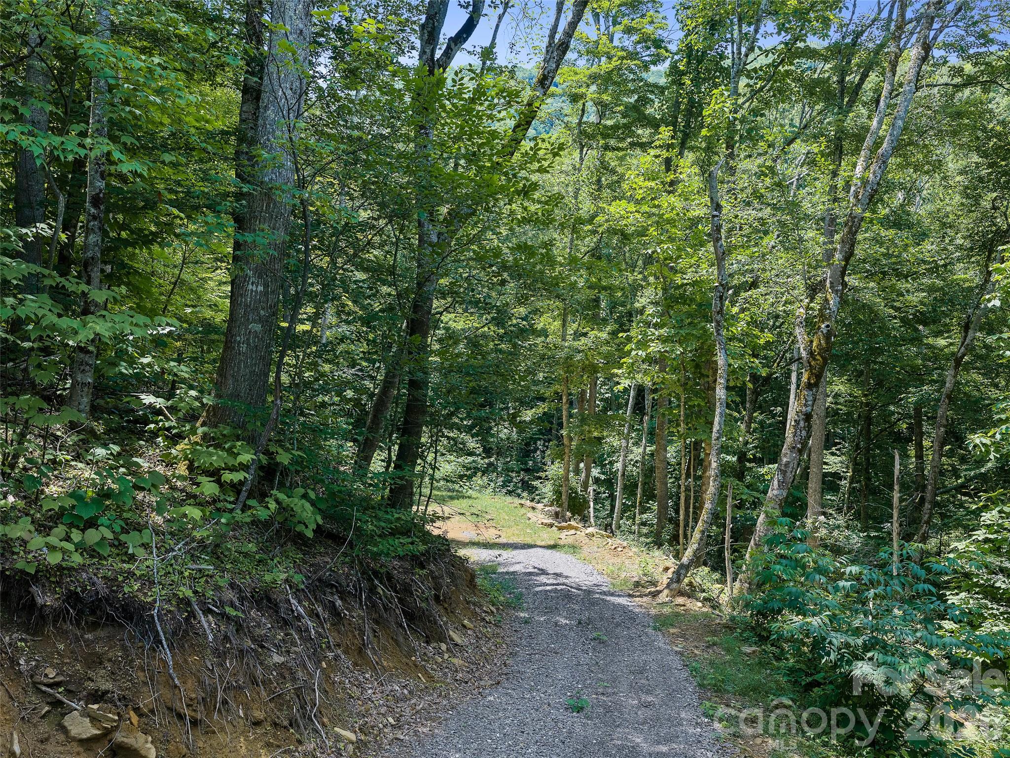 000 Ogles Gap Road Property Photo 21