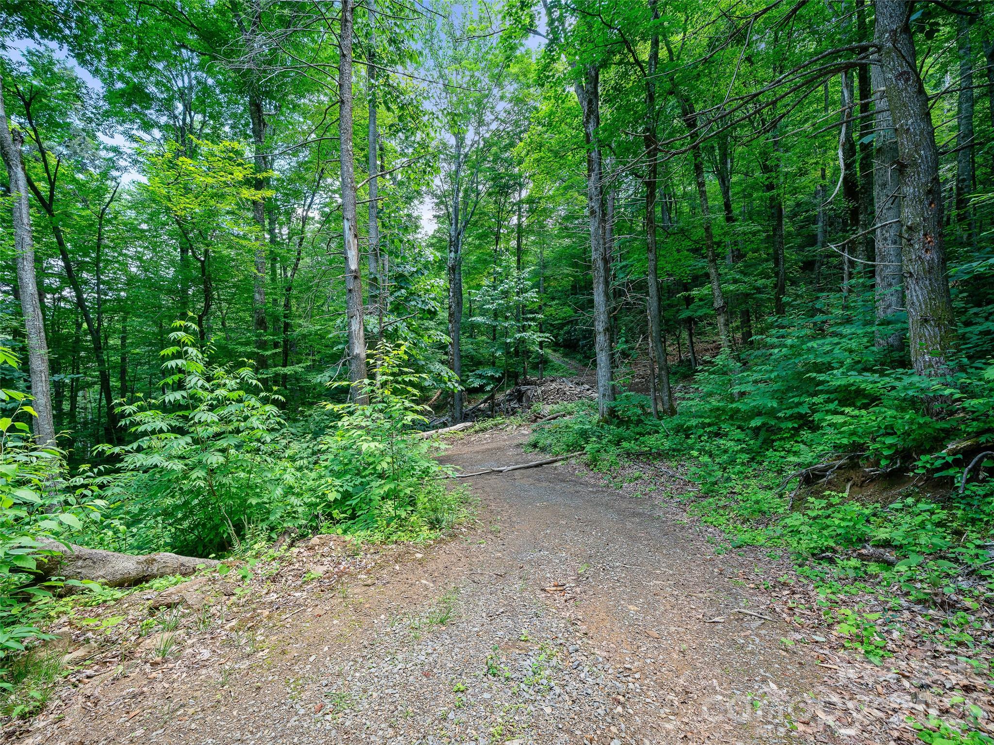 000 Ogles Gap Road Property Photo 22
