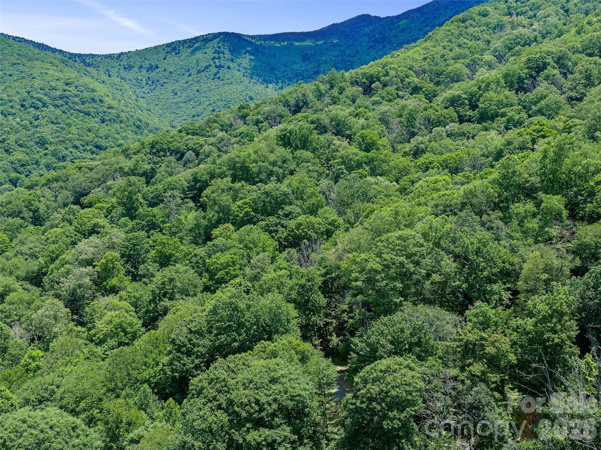 000 Ogles Gap Road Property Photo 24