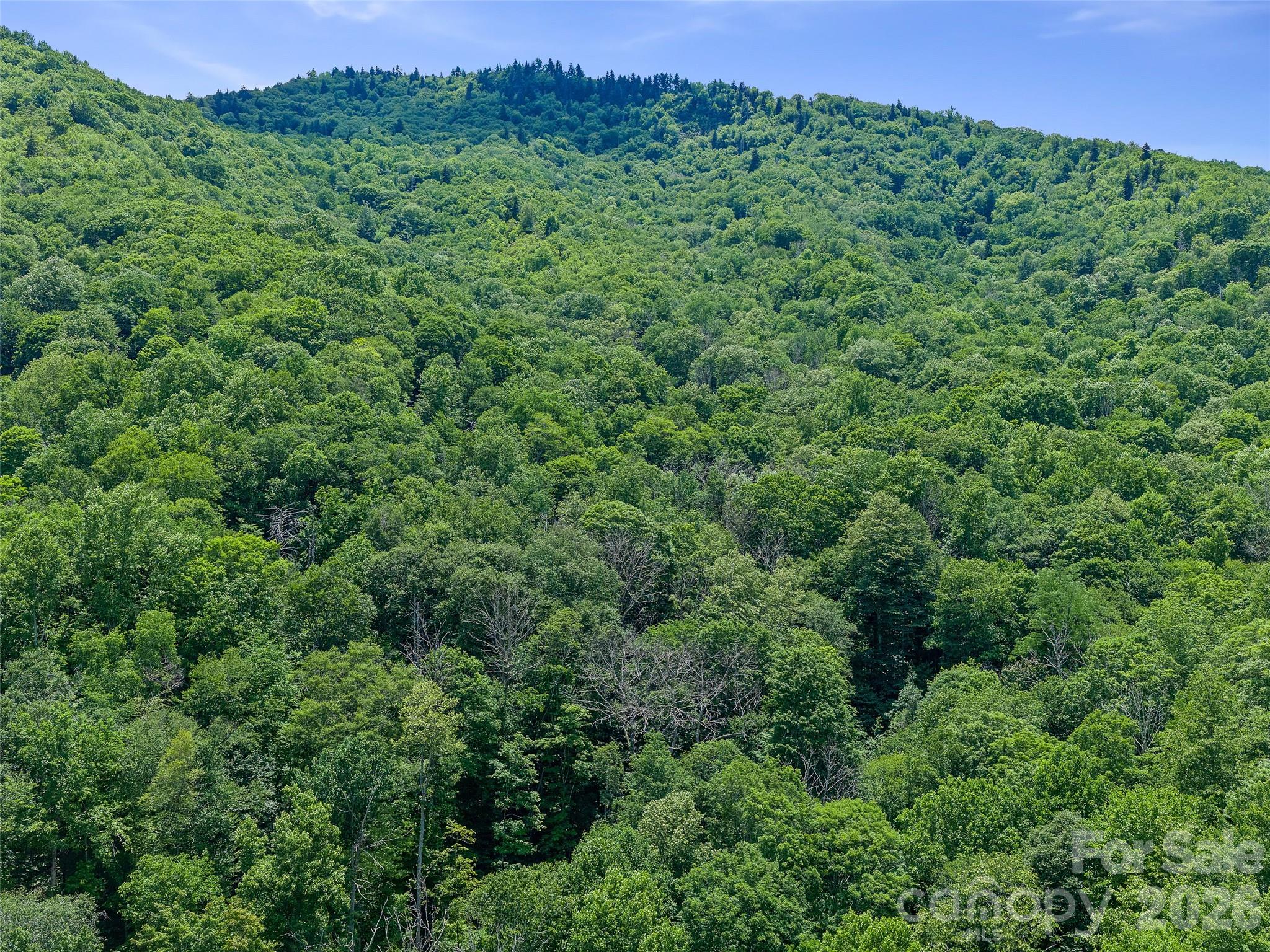 000 Ogles Gap Road Property Photo 25