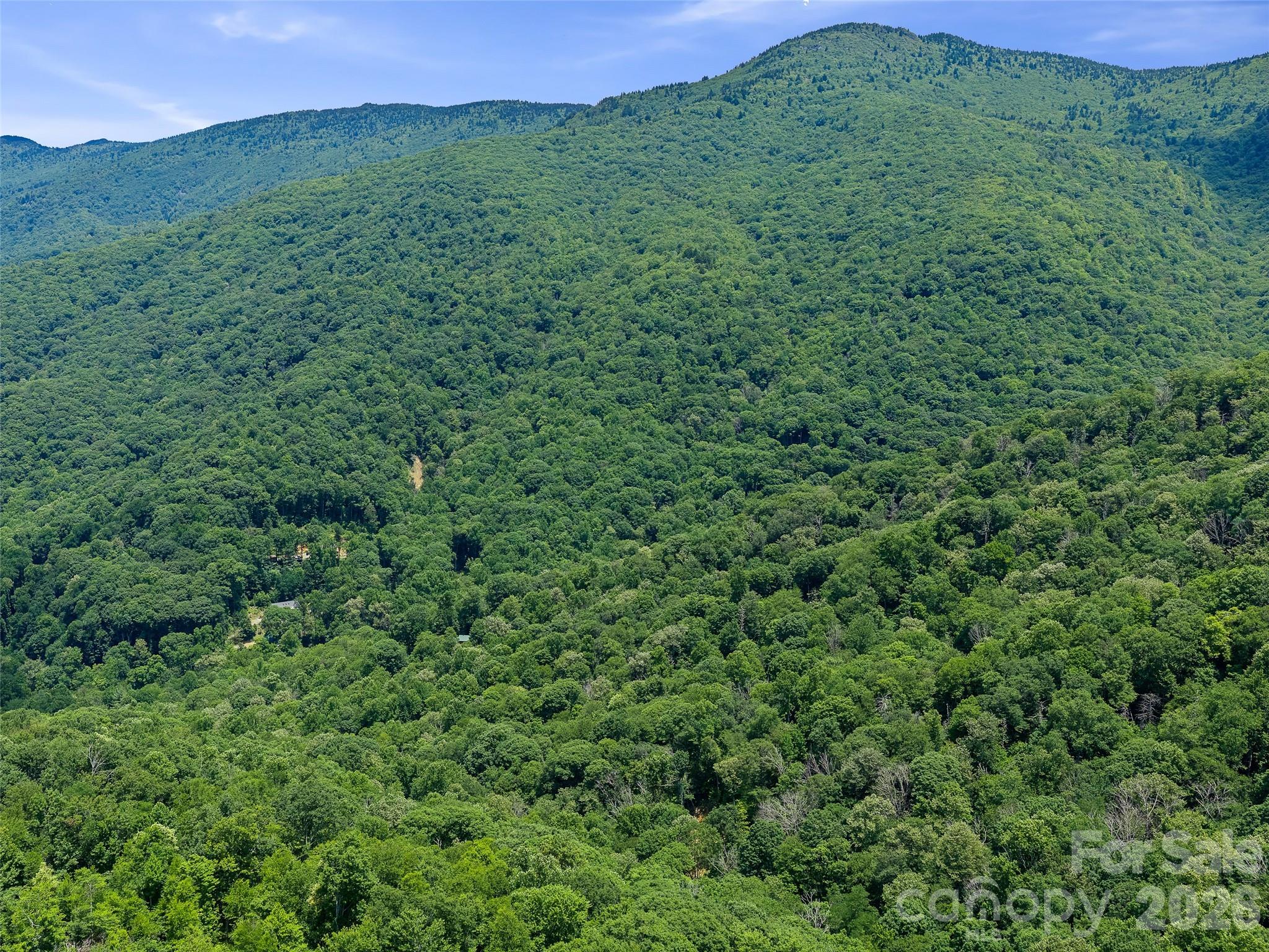 000 Ogles Gap Road Property Photo 26