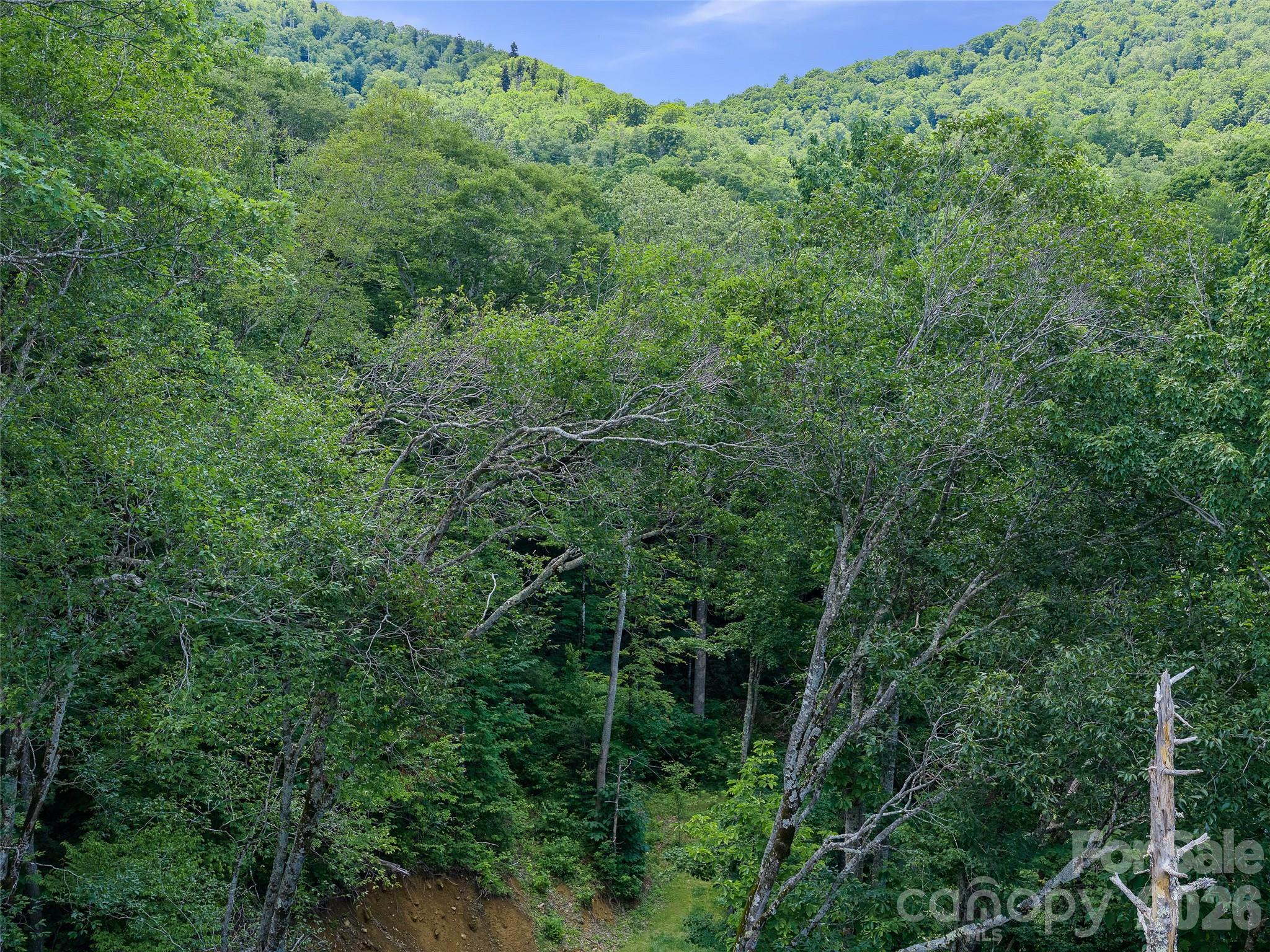 000 Ogles Gap Road Property Photo 27